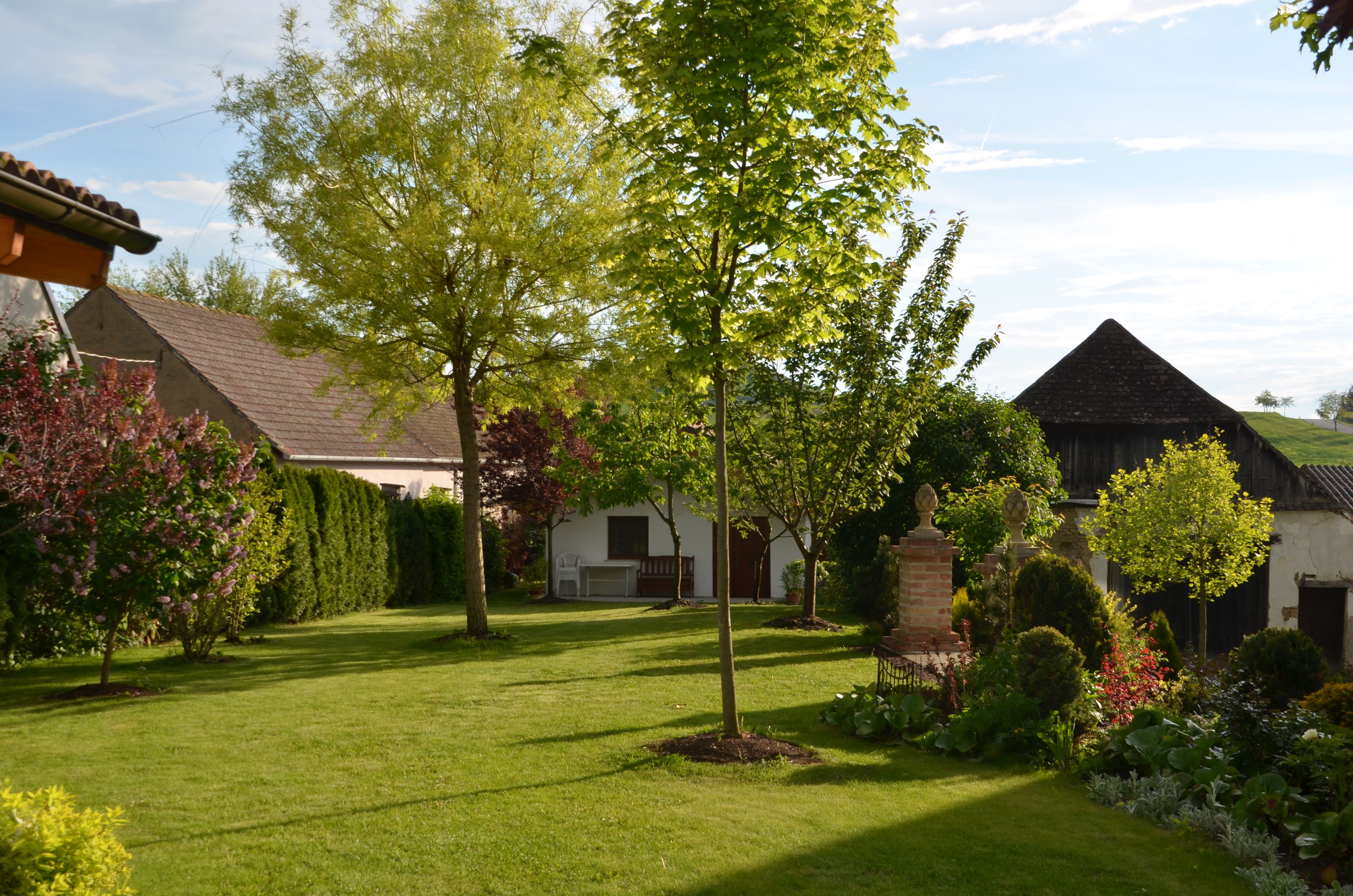 Ein gepflegter Garten mit Rasen, Bäumen und Sträuchern, umgeben von Gebäuden und einem blauen Himmel im Hintergrund.
