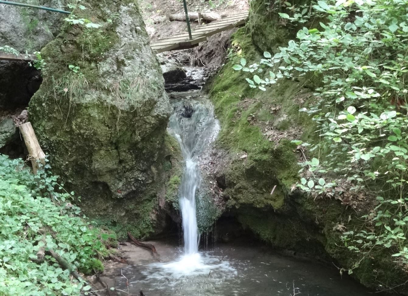 Ein kleiner Wasserfall fließt zwischen moosbewachsenen Felsen in einem Waldgebiet.