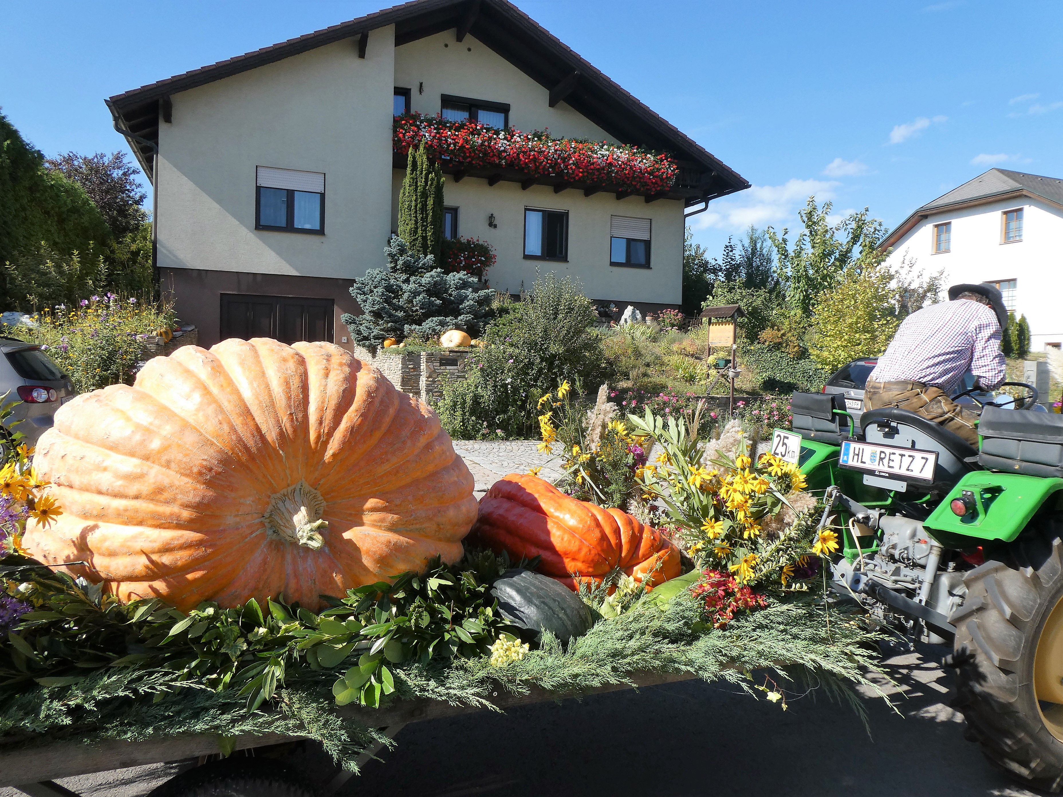 Ein Traktor zieht einen Wagen mit riesigen Kürbissen und Blumen vor einem Haus mit Blumenschmuck.