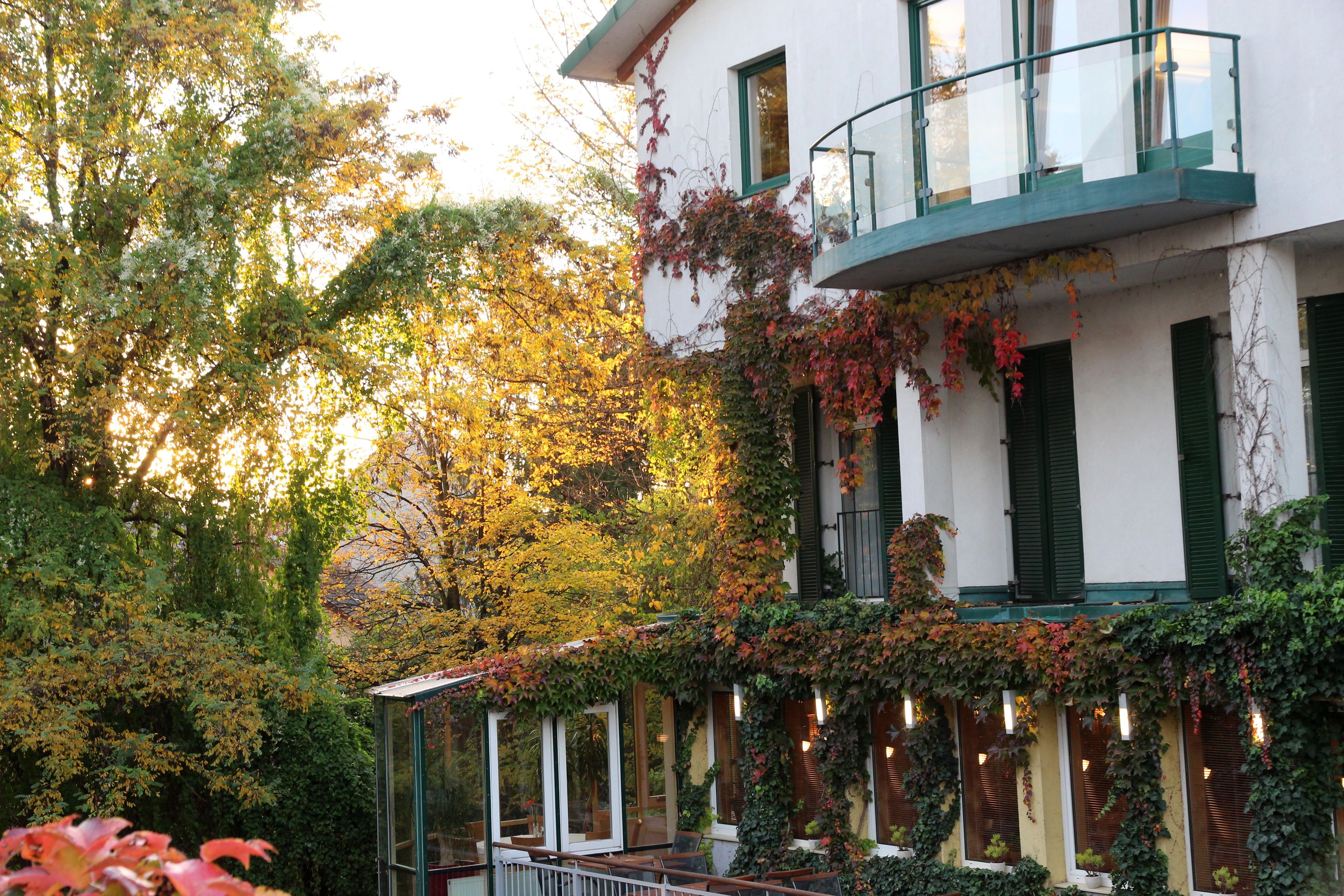 Außenansicht eines Hauses mit Efeu bewachsen und Herbstbäumen im Hintergrund.