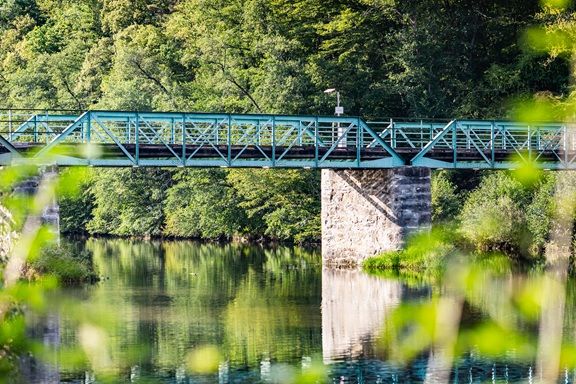 Thayabrücke Hardegg über die Thaya, eine grüne Stahlbrücke mit Steinpfeiler, umgeben von dichtem Wald und spiegelndem Wasser.