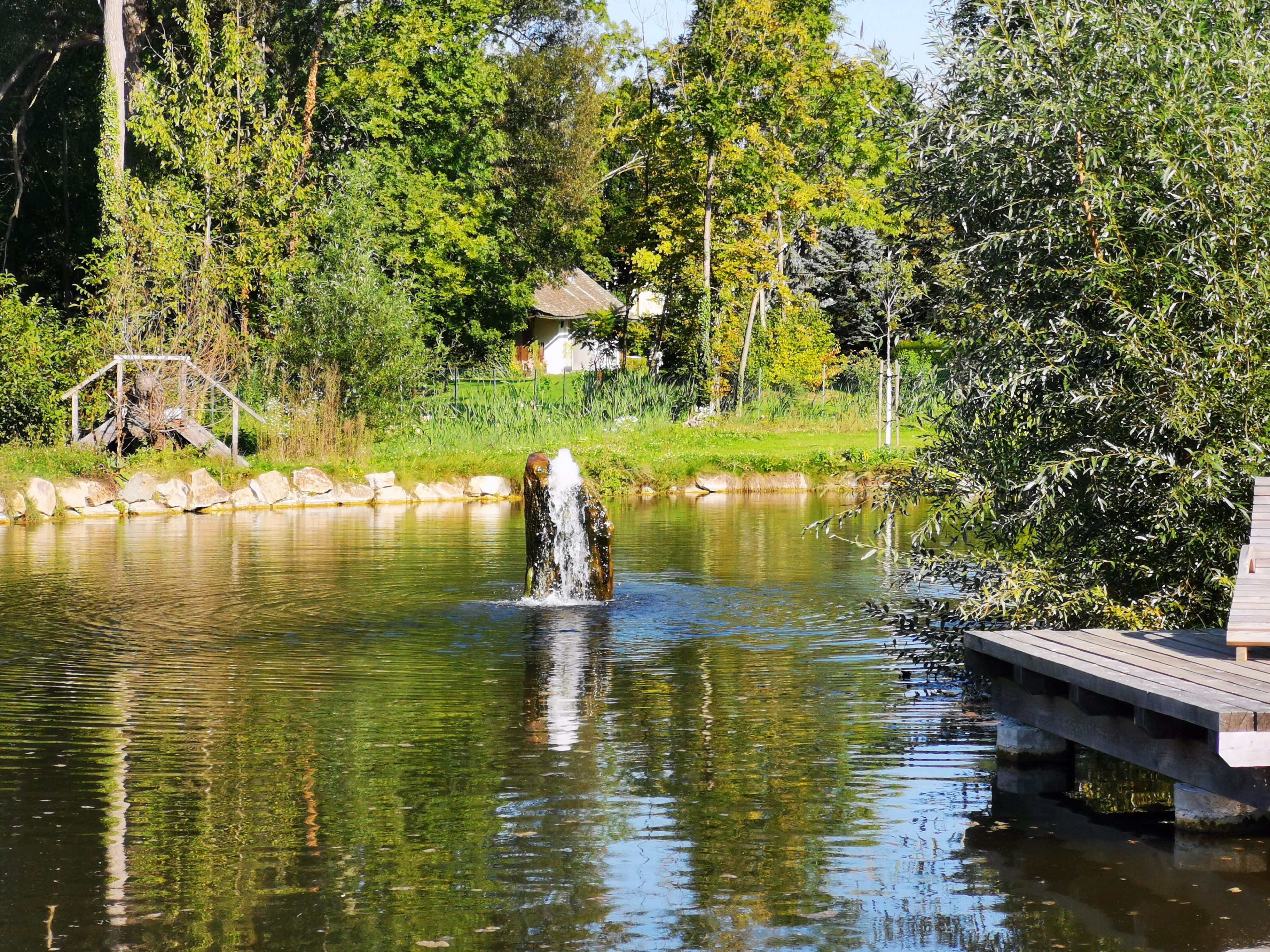 Ein Teich mit einem kleinen Springbrunnen, umgeben von Bäumen und einem Holzsteg.