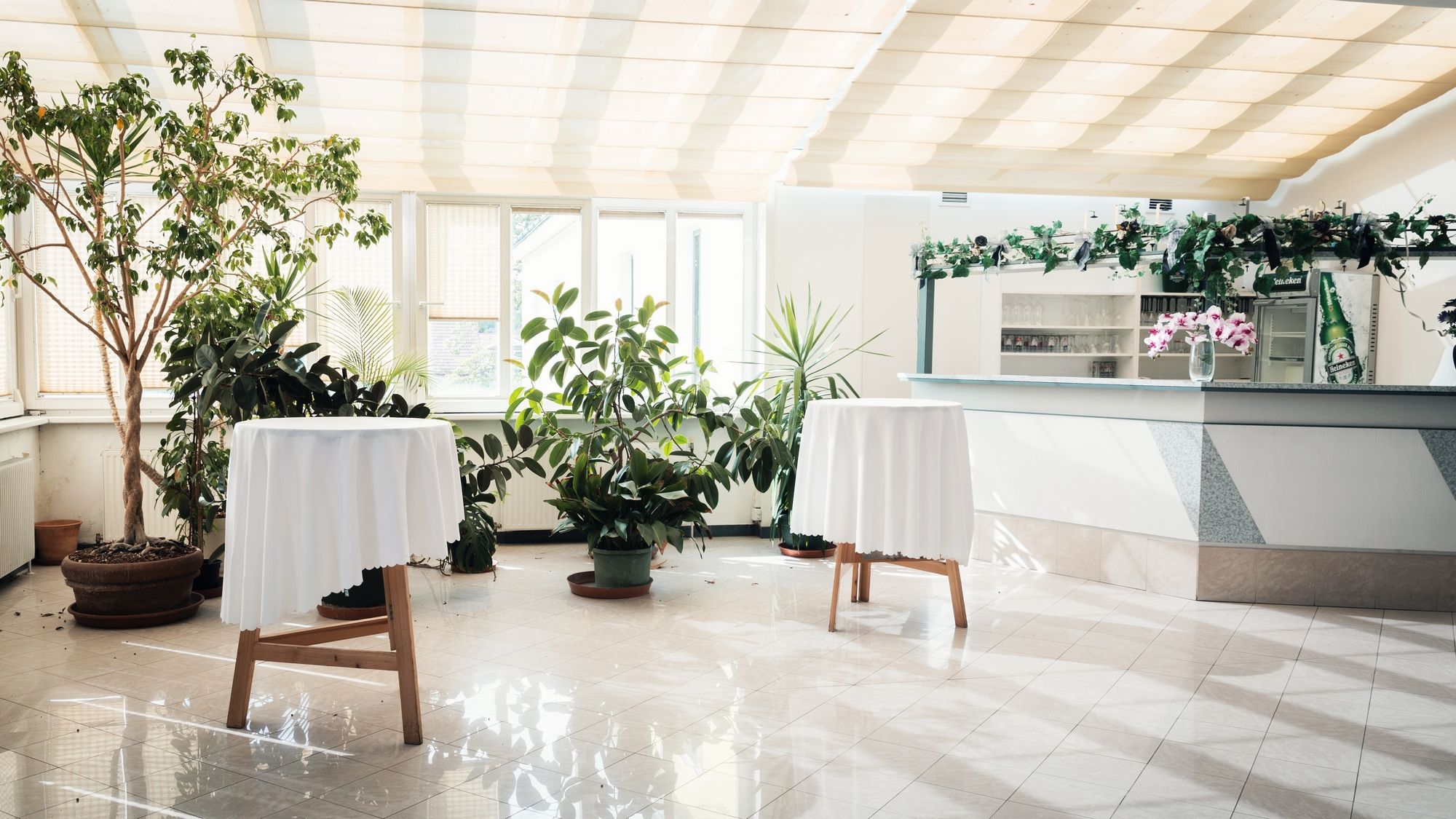 Svetlá miestnosť s rastlinami, dva barové stoly s bielymi obrusmi a bar v pozadí.