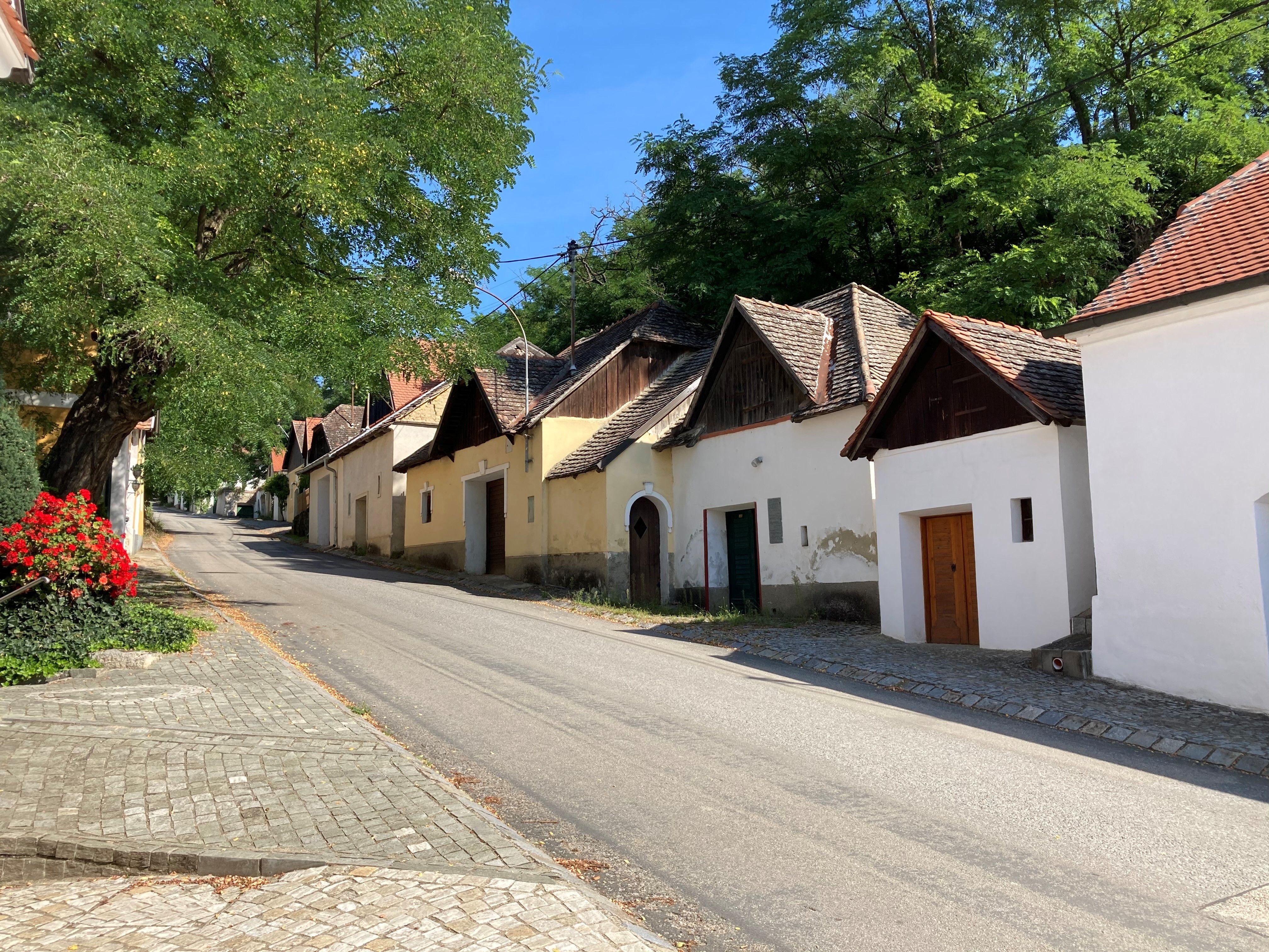 Street with old houses and trees in a village.