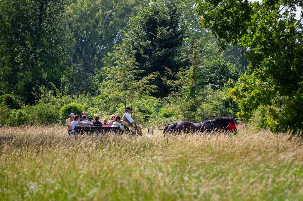 Kutschenfahrt im Schlosspark