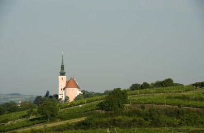 Die Weinstadt Poysdorf
