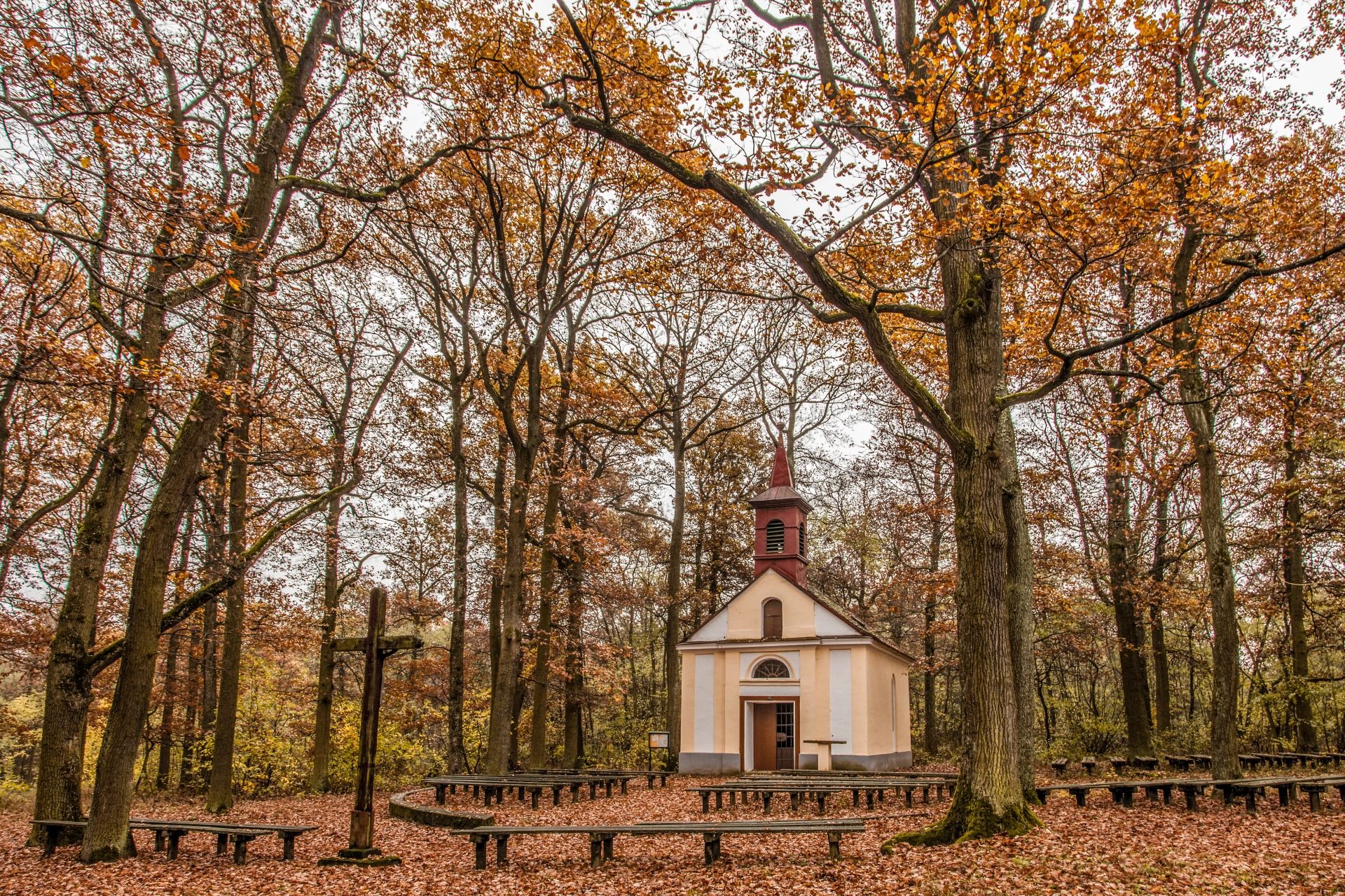 Eine kleine Kapelle im Wald, umgeben von herbstlichen Bäumen und Laub auf dem Boden.