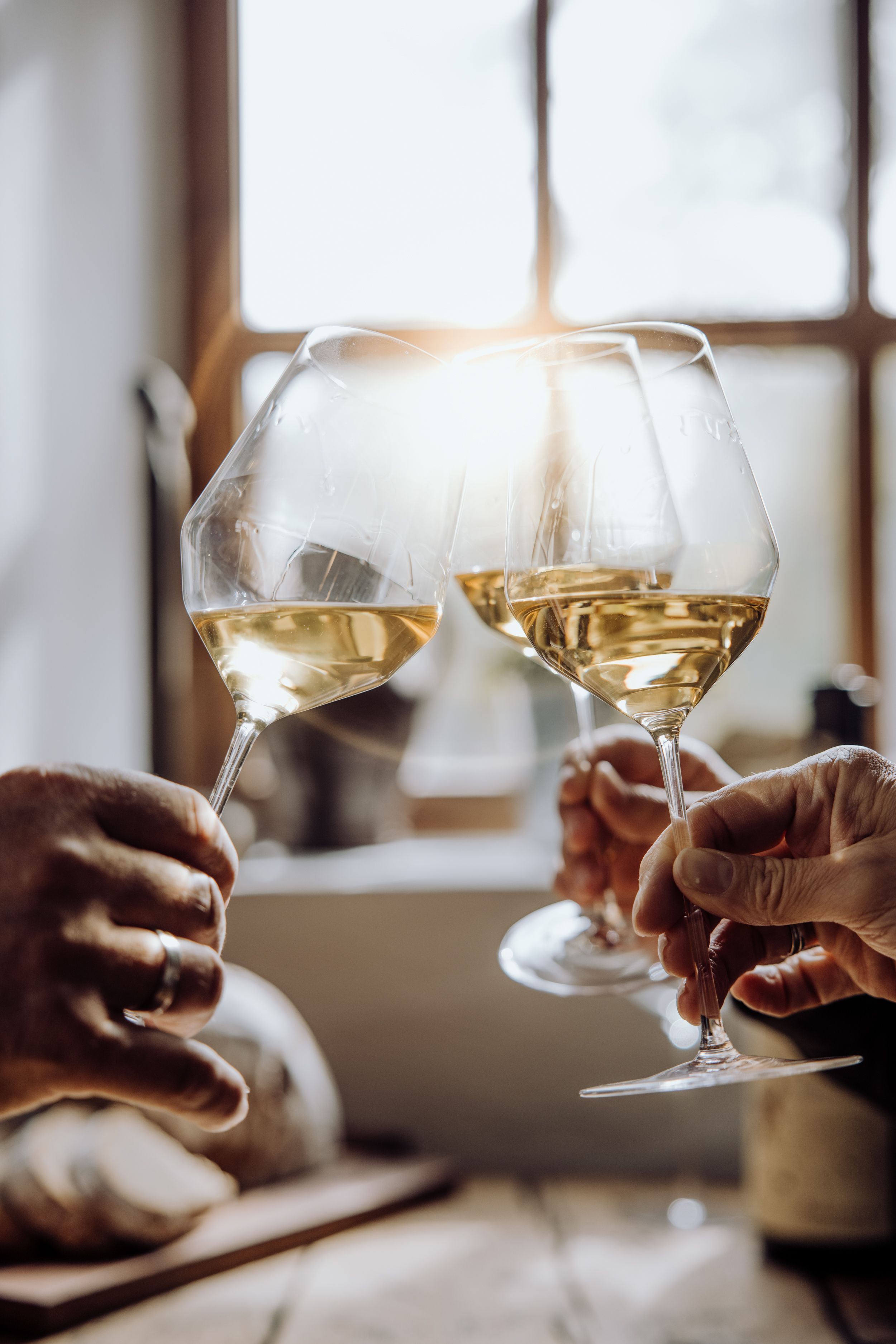 Drei Personen stoßen mit Weißweingläsern an, Sonnenlicht im Hintergrund.