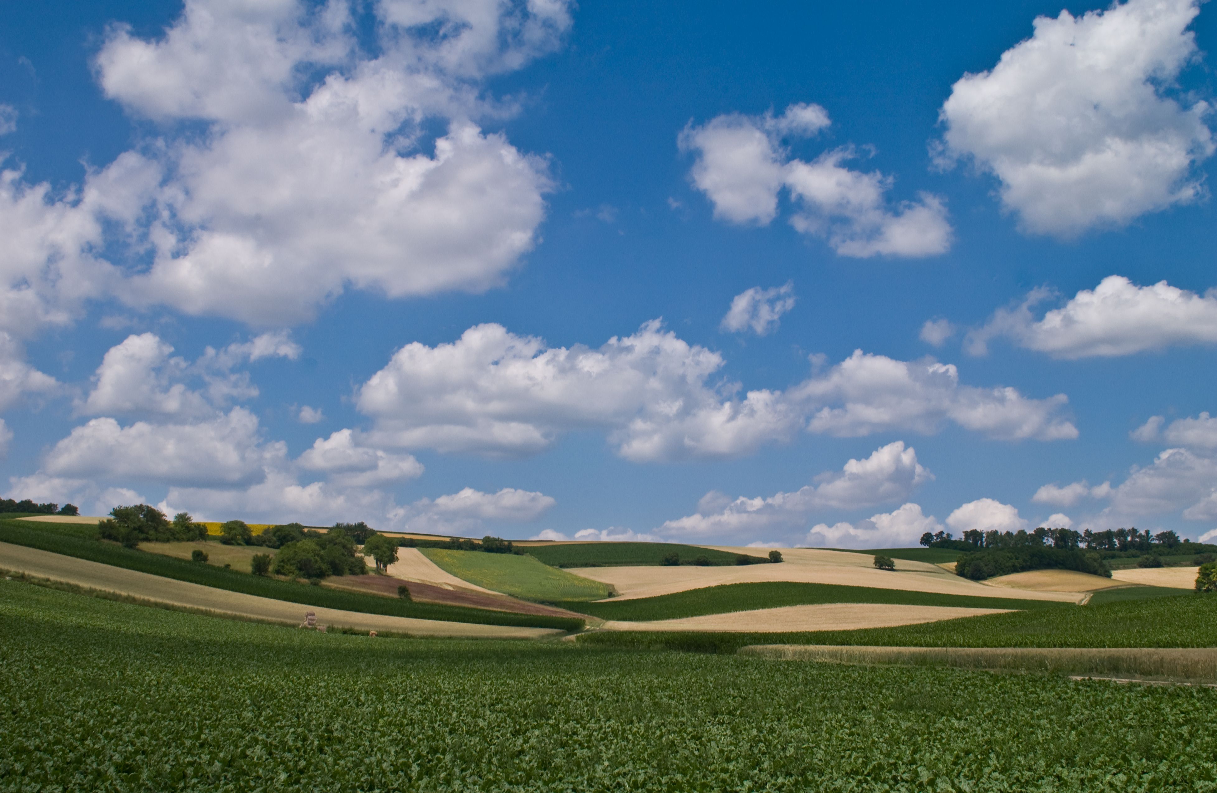 Sanfte Hügel und Felder im Weinviertel unter blauem Himmel mit weißen Wolken.