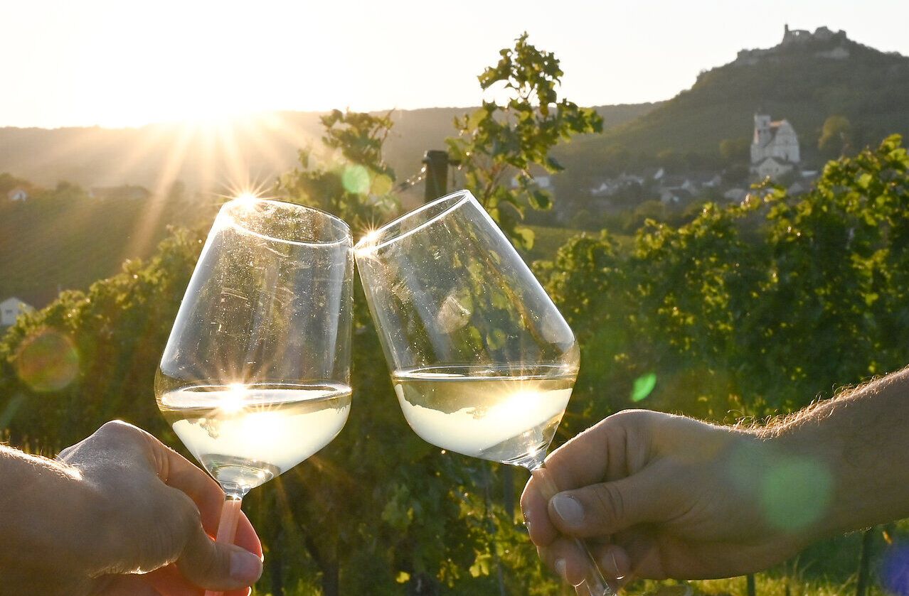 In der goldenen Abendsonne stoßen zwei Gläser mit frischem Wein an, während die sanften Hügel der Weinregion im Hintergrund leuchten. Die Atmosphäre ist erfüllt von der Freude des Weinherbstes, wo die Trauben reif für die Ernte sind und die Natur in voller Pracht erstrahlt.