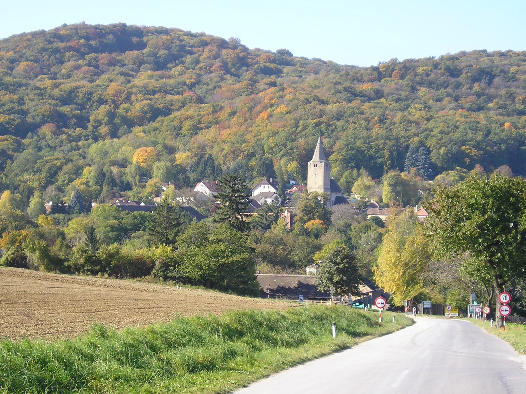 Landschaft mit Wehrkirche Michelstetten im Hintergrund.