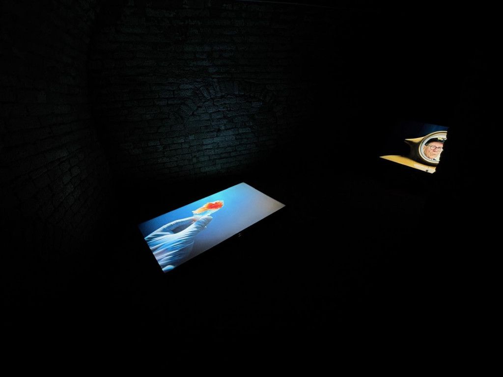 Video-Installation von Hanakam & Schuller im Krinzinger Lesehaus 