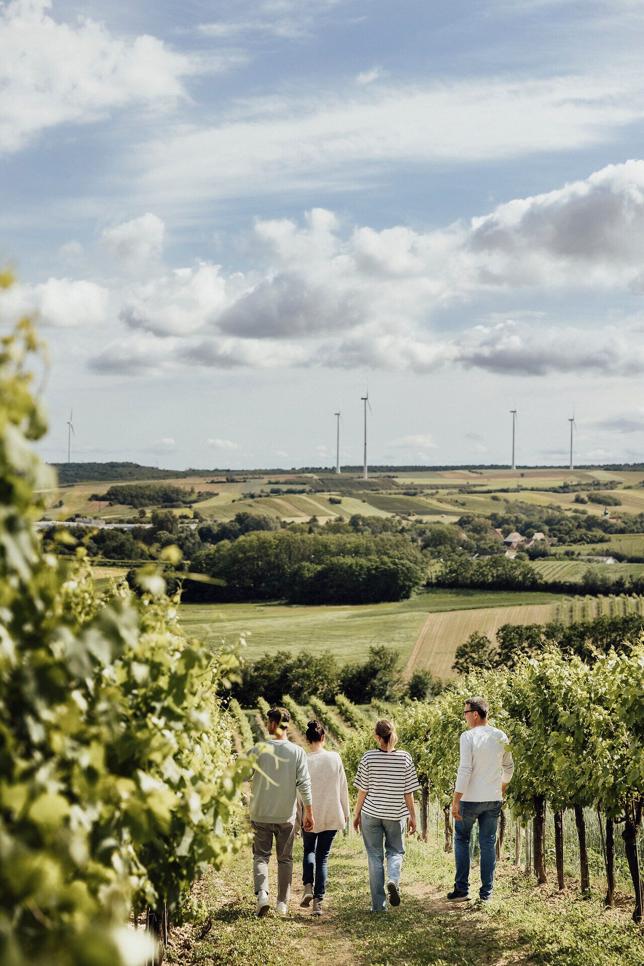 Ein malerischer Spaziergang durch die Weinrieden lädt dazu ein, die frische Luft und die atemberaubende Aussicht zu genießen. Die sanften Hügel und die grünen Reben schaffen eine harmonische Kulisse für unvergessliche Momente mit Freunden. Hier wird der Weinfrühling lebendig, während die Sonne sanft über die Landschaft strahlt.