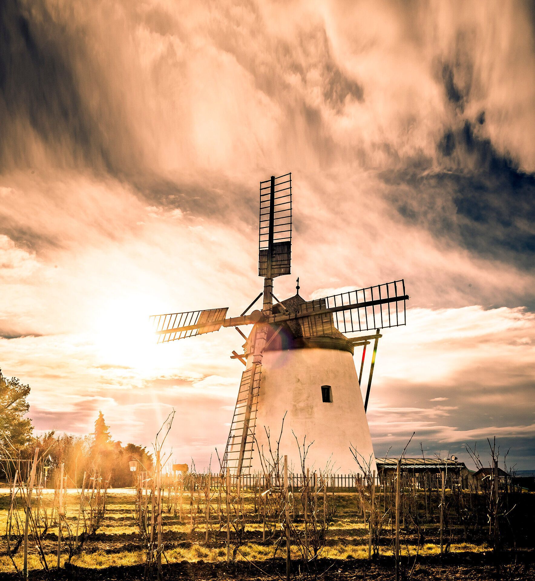 Die majestätische Windmühle erhebt sich stolz gegen den Himmel und erzählt Geschichten aus vergangenen Zeiten. Umgeben von sanften Hügeln und Weinreben, lädt dieser Ort dazu ein, die Schönheit der Natur zu genießen und die Seele baumeln zu lassen.