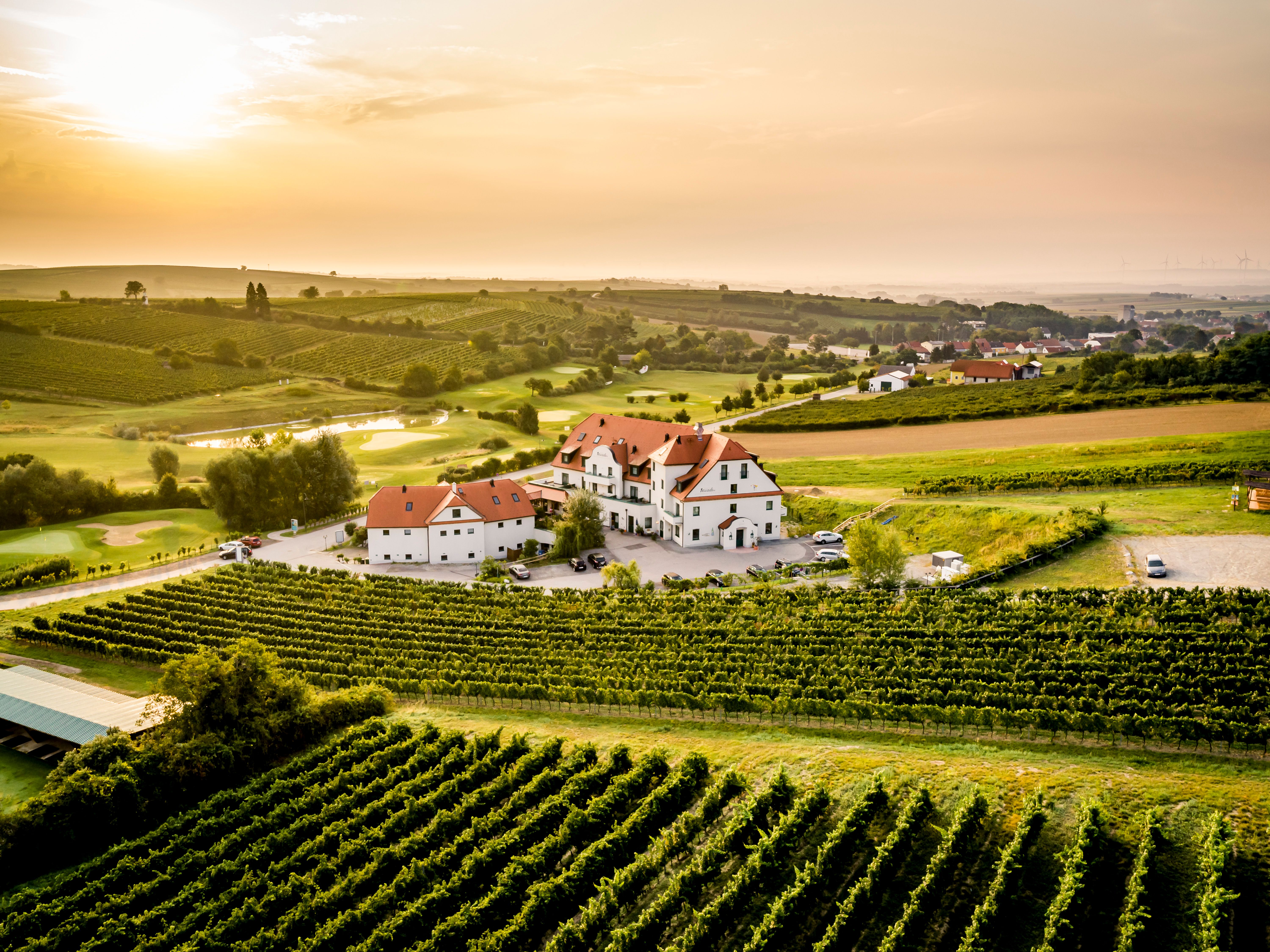 Luftaufnahme eines Hotels inmitten von Weinbergen bei Sonnenuntergang.