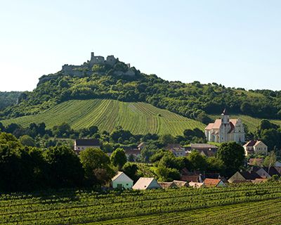 Weinort Falkenstein