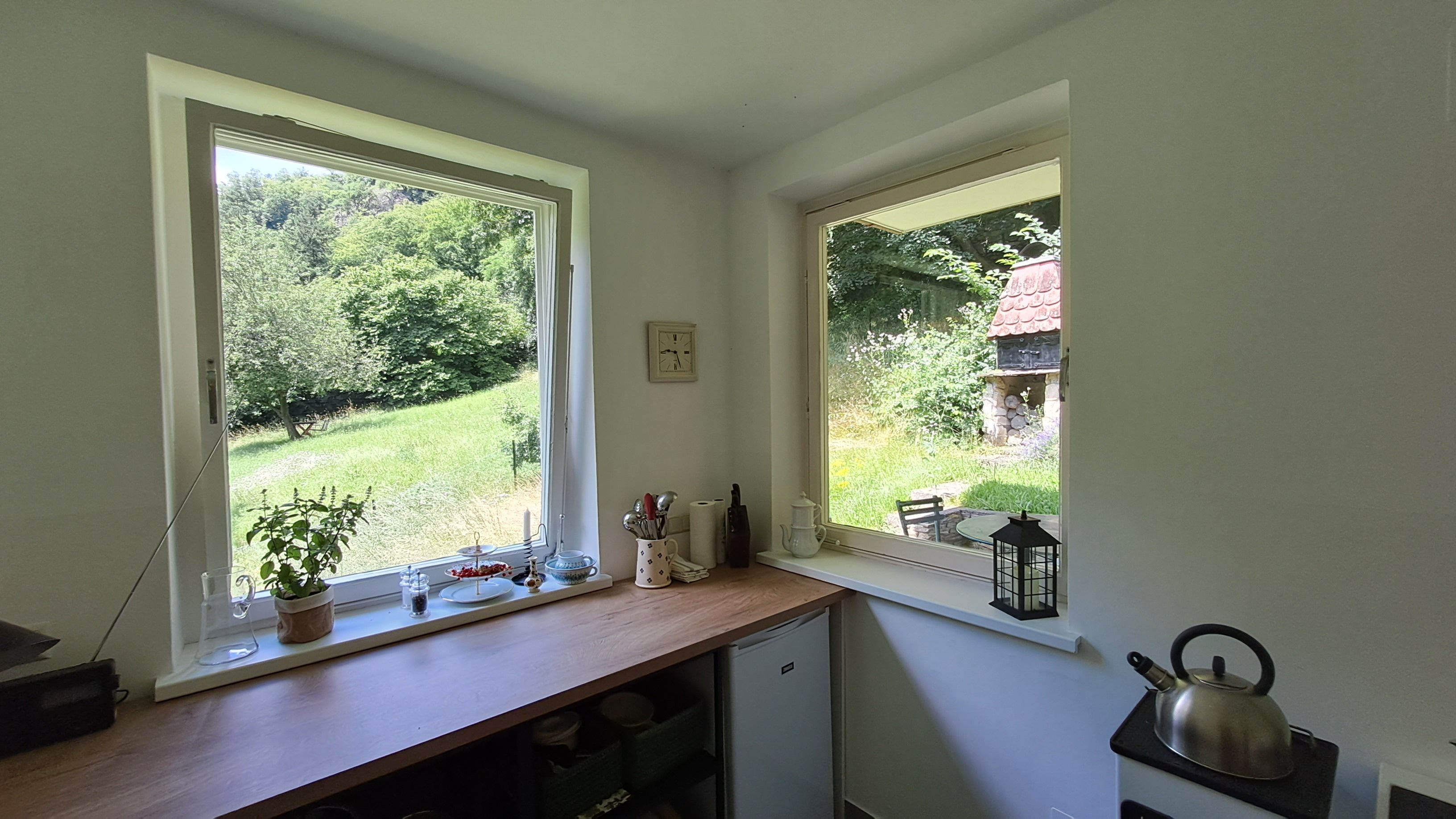 Blick aus einem Küchenfenster auf einen grünen Garten mit Bäumen und einem Grill.
