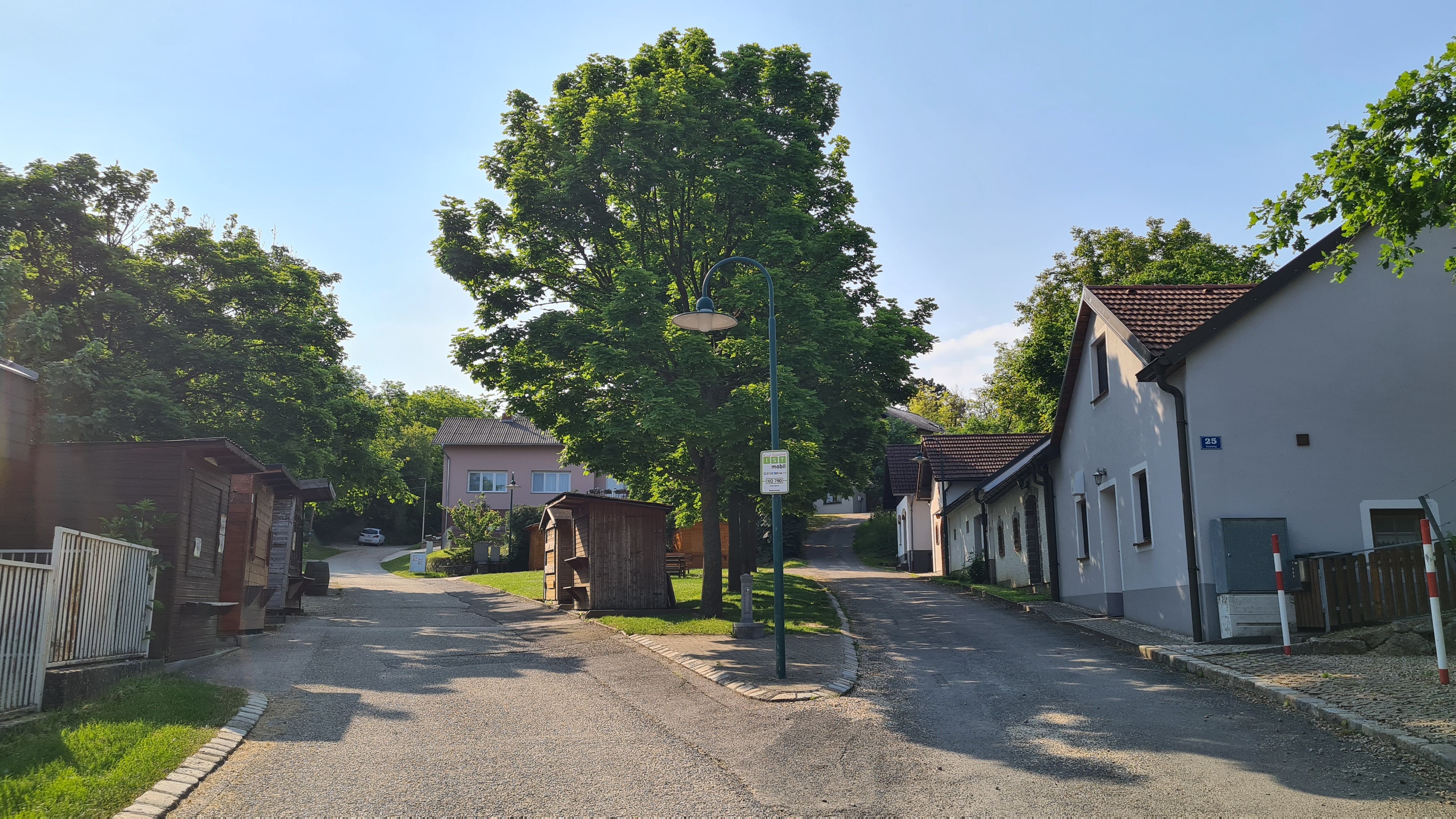 Eine ruhige Straße mit Bäumen und Häusern in einem Dorf bei sonnigem Wetter.