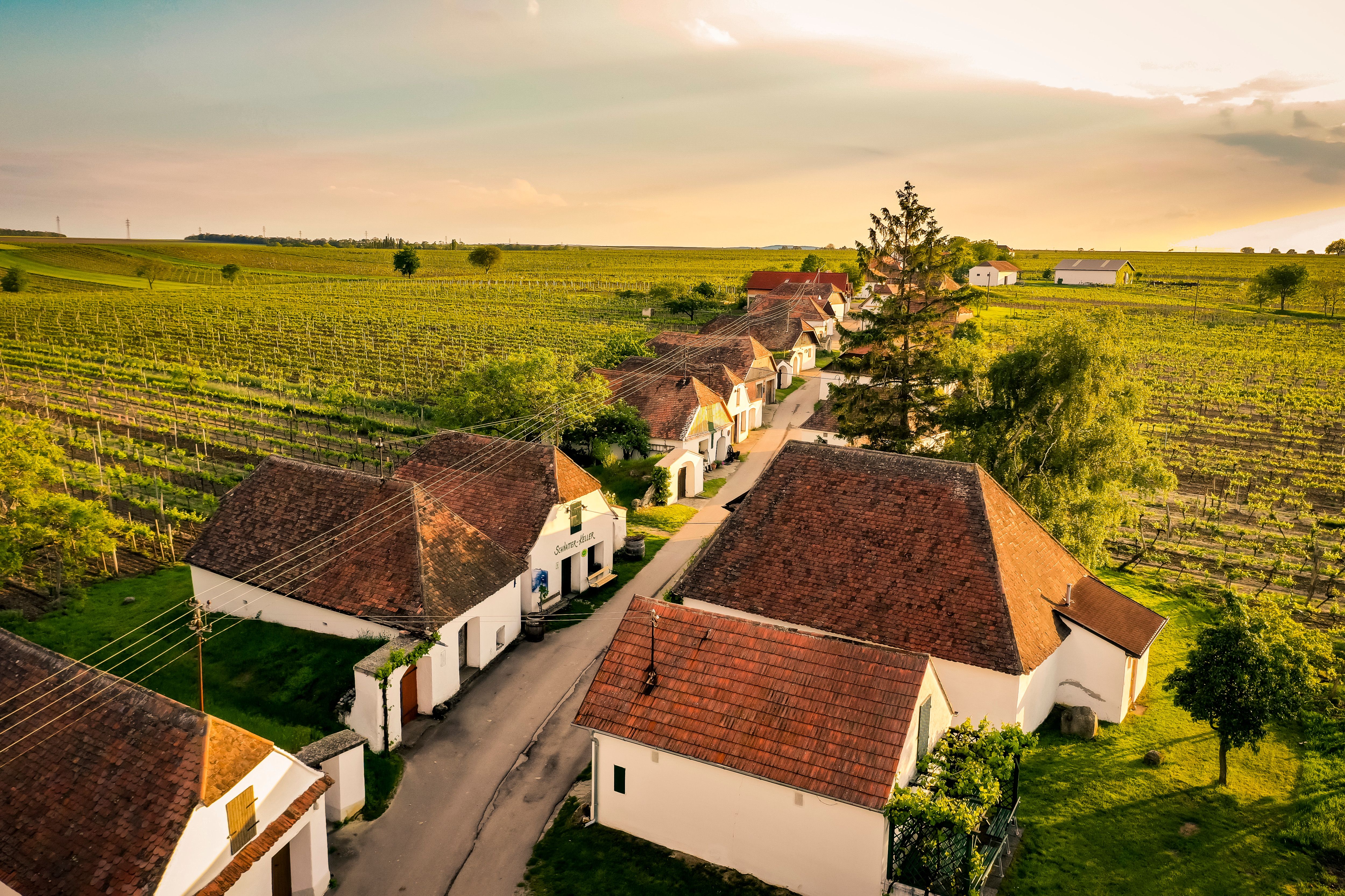 Zellerndorf Kellergasse (c) WTG Herbst-0032_klein
