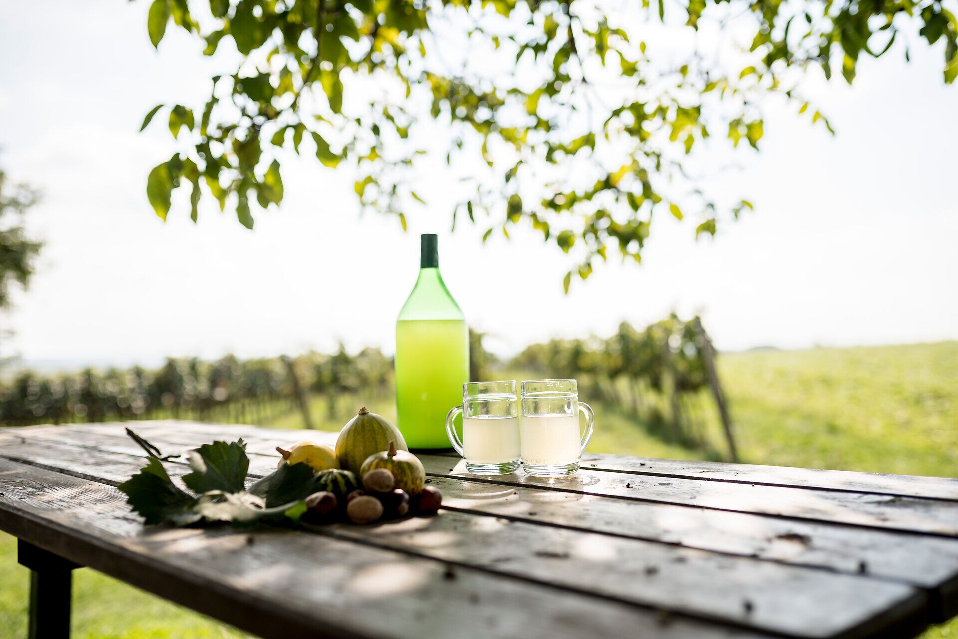 Unter einem schattenspendenden Baum lädt eine rustikale Holztischgruppe zum Verweilen ein. Ein erfrischendes Getränk und frische Früchte aus der Region versprechen Genuss und Entspannung inmitten der malerischen Weinlandschaft.