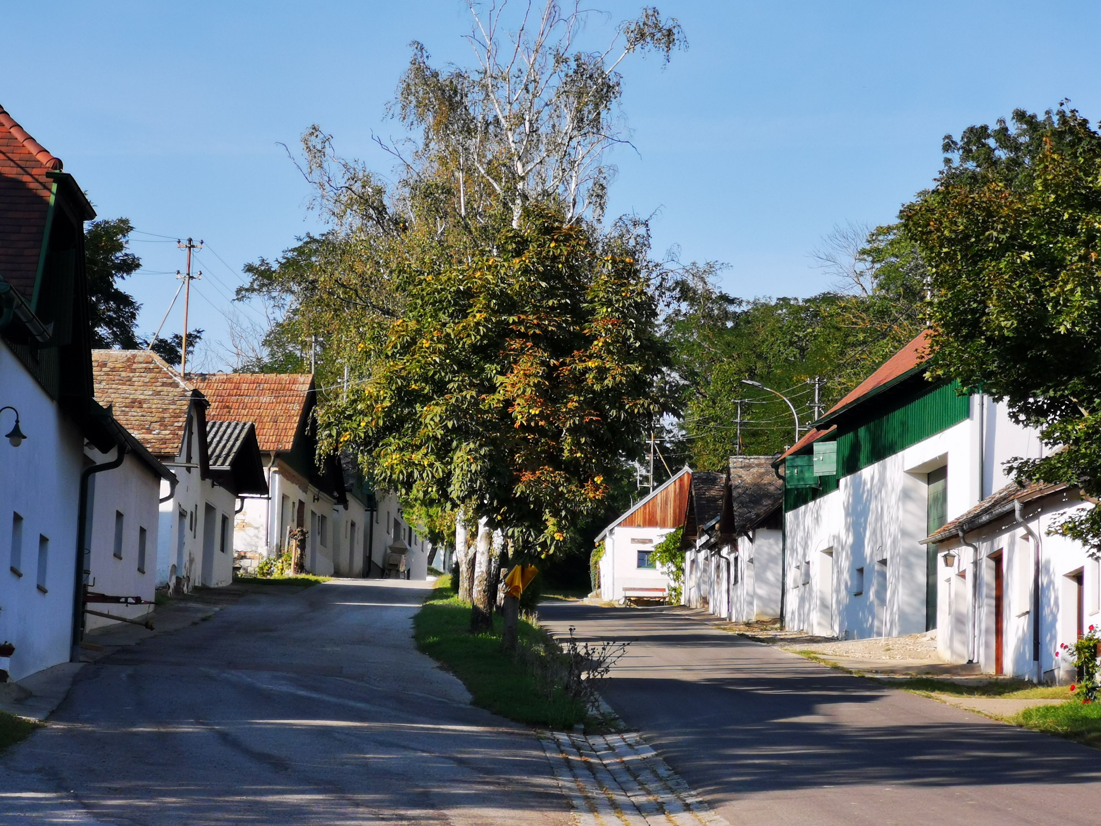 Eine malerische Straße mit traditionellen Weinkellern und Bäumen an einem sonnigen Tag.