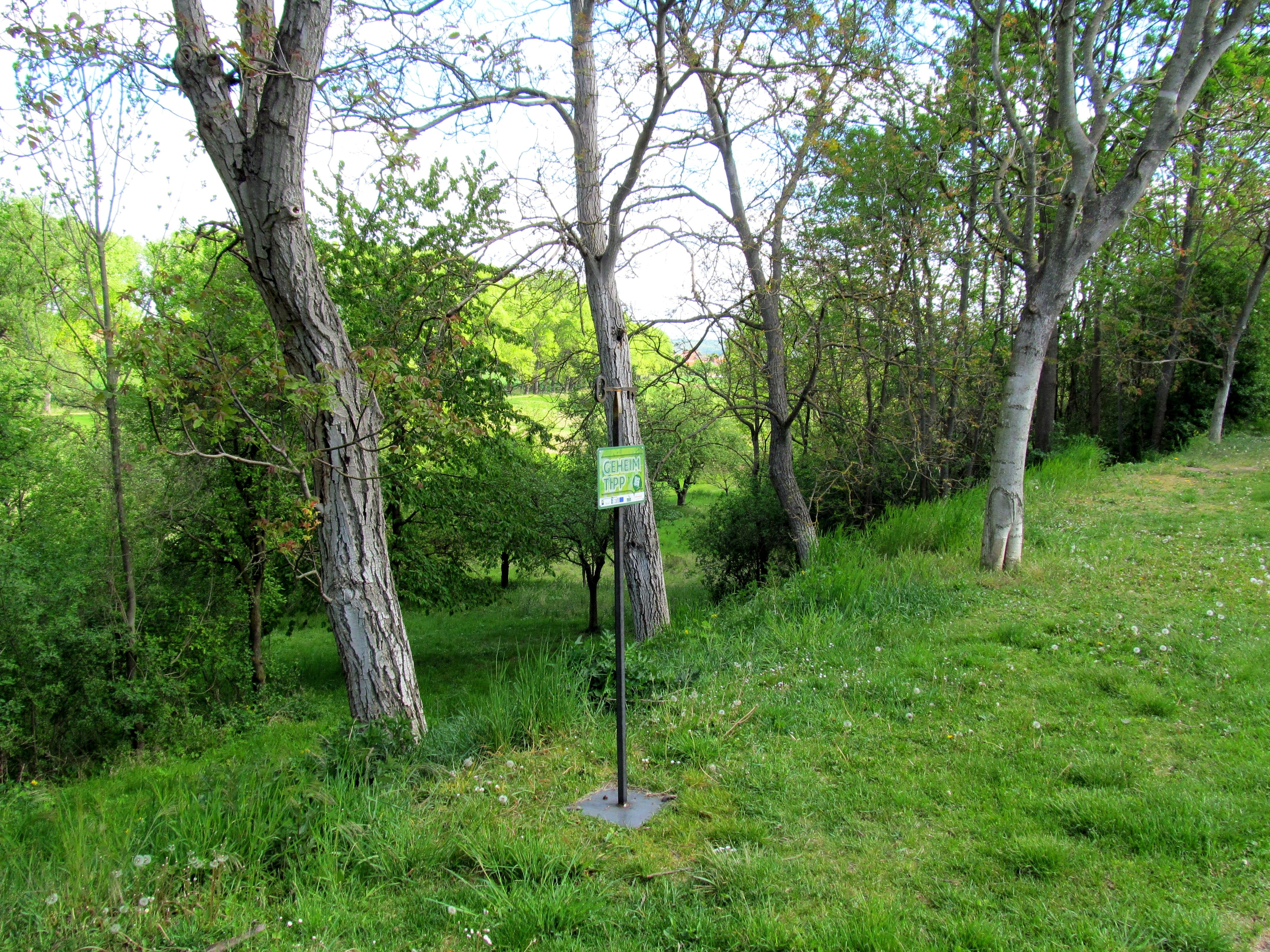 Grüne Landschaft mit Bäumen und einem Schild in Minichhofen.
