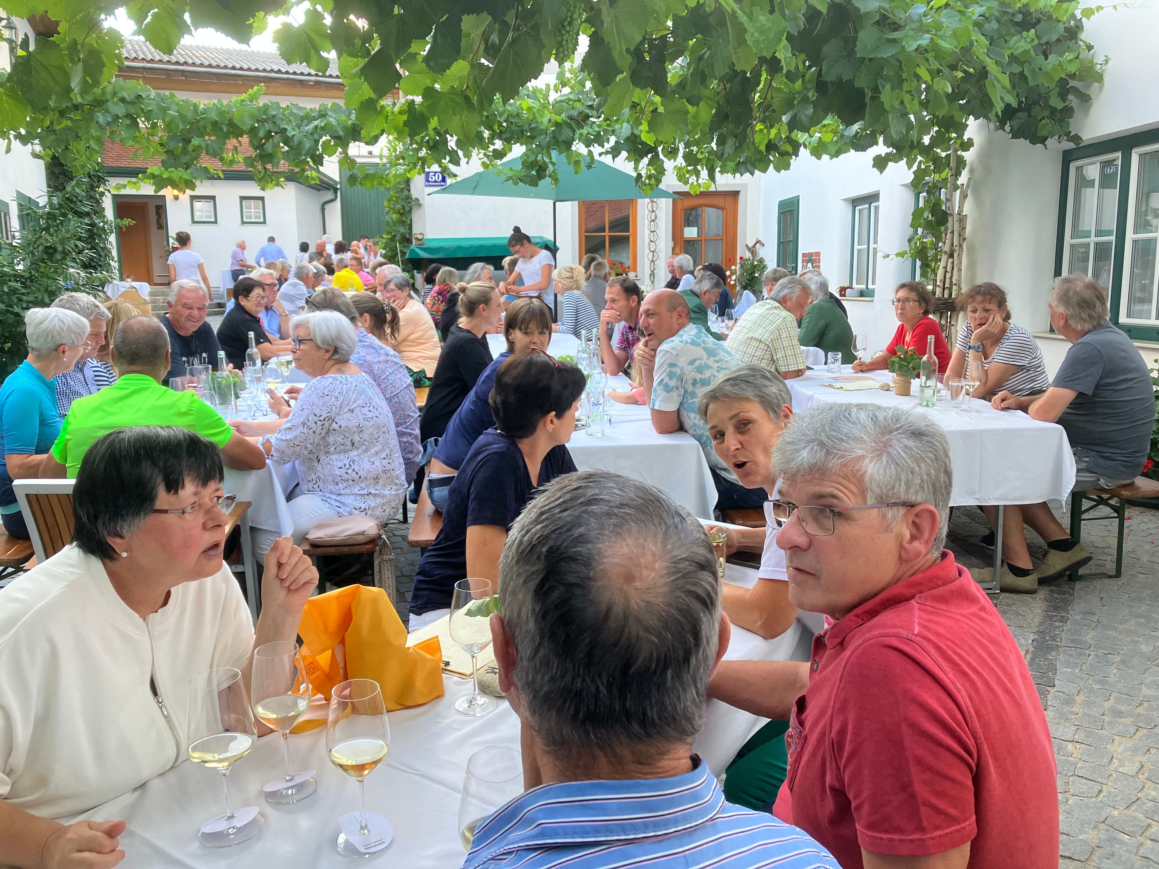 Menschen sitzen an Tischen im Freien unter Weinreben und unterhalten sich.