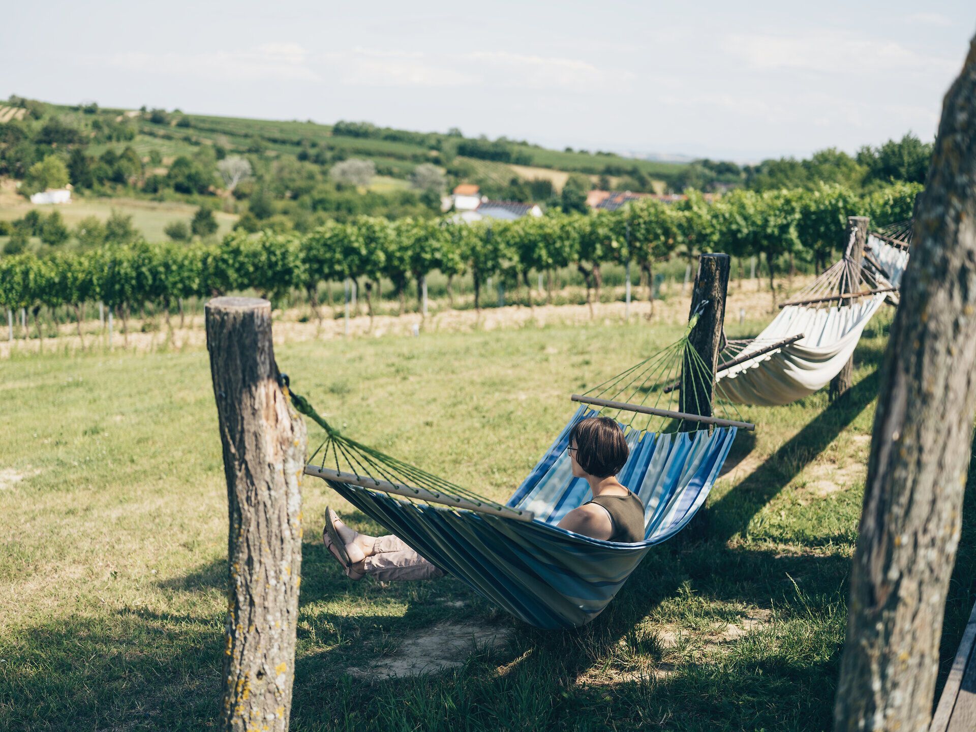 Inmitten der sanften Hügel und Weinreben lädt eine Hängematte zum Entspannen ein. Die sanfte Brise und der Blick auf die malerische Landschaft schaffen eine perfekte Atmosphäre für eine Auszeit in der Natur.