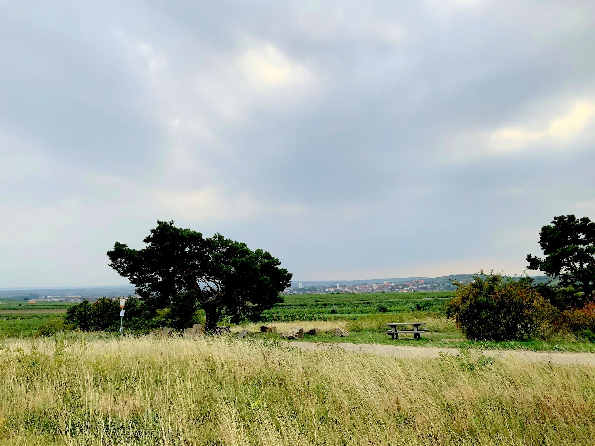 Landschaft mit Baum, Bank und weitem Himmel.