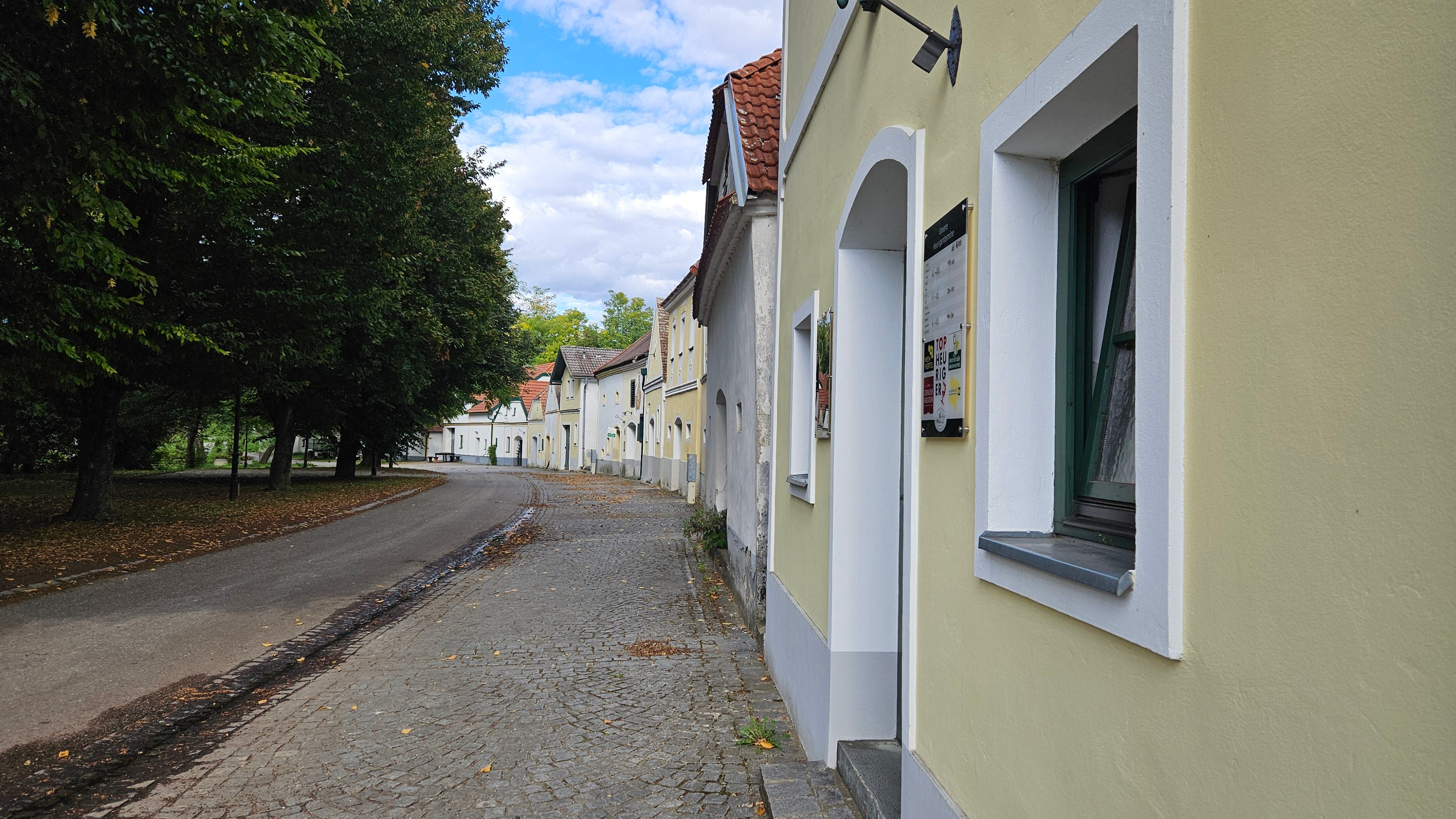 Kellergasse in Nappersdorf mit hellen Weinkellern, gepflastertem Weg und Bäumen entlang der Straße.
