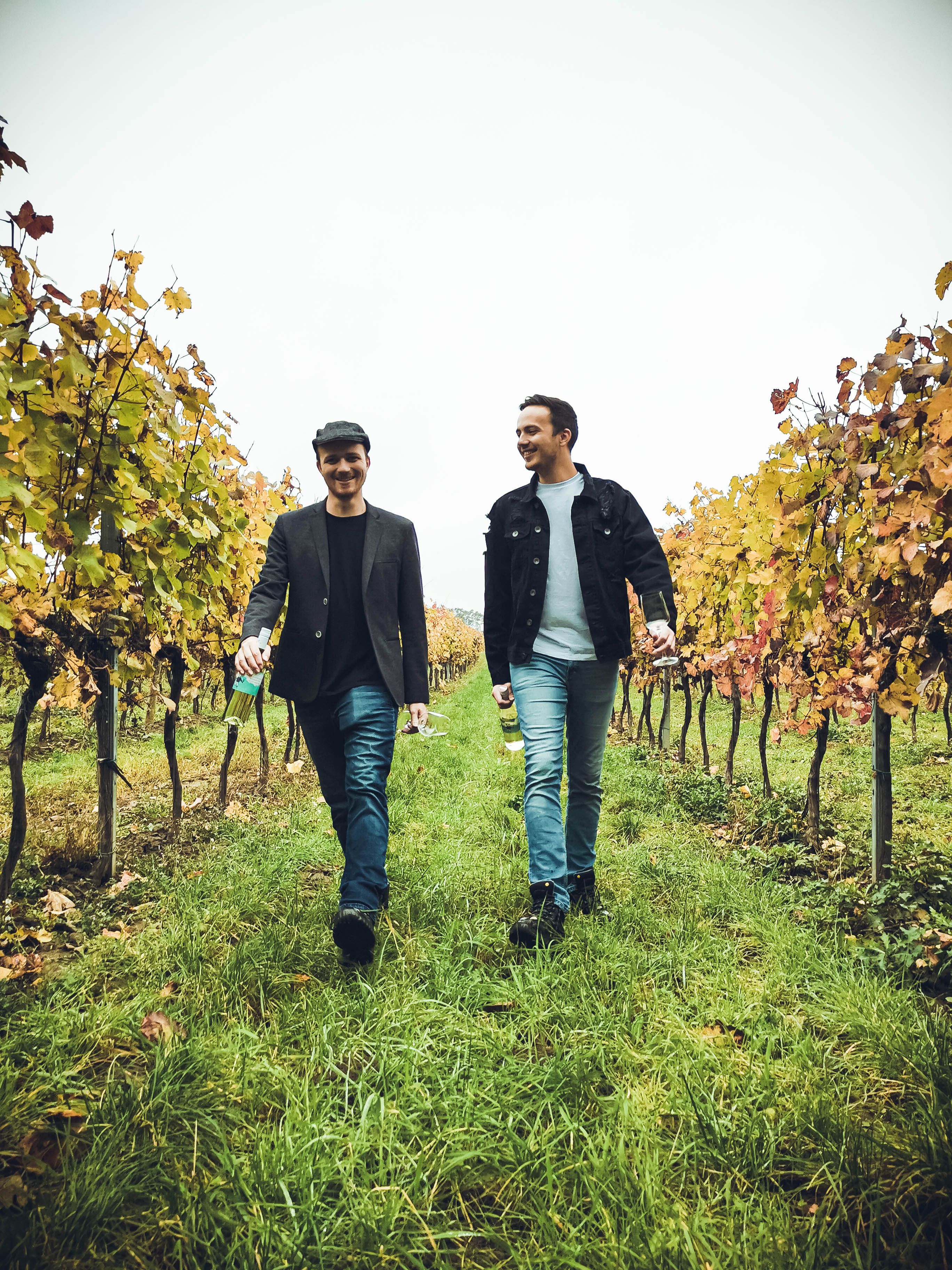 Zwei Männer gehen durch einen Weinberg mit Herbstlaub.