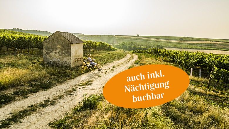 Sunset Tasting mit Weingut Bohrn