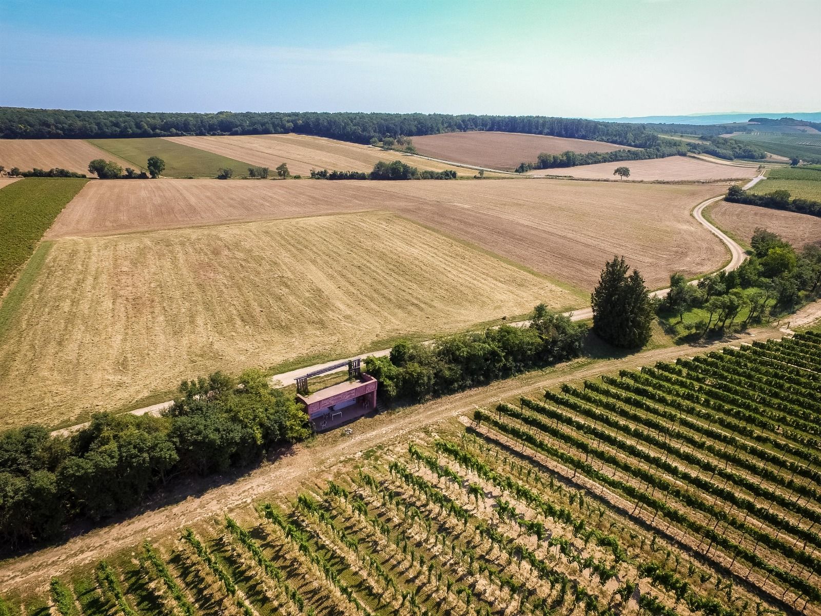 Luftaufnahme von Feldern und Weinbergen in Wullersdorf, Österreich.