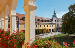 Die blühenden Geranien verleihen dem historischen Innenhof eine einladende Atmosphäre, während die sanften Farben der Gebäude im Sonnenlicht erstrahlen. Hier, umgeben von der malerischen Landschaft des Weinviertels, können Besucher die Ruhe und Schönheit der Natur genießen.