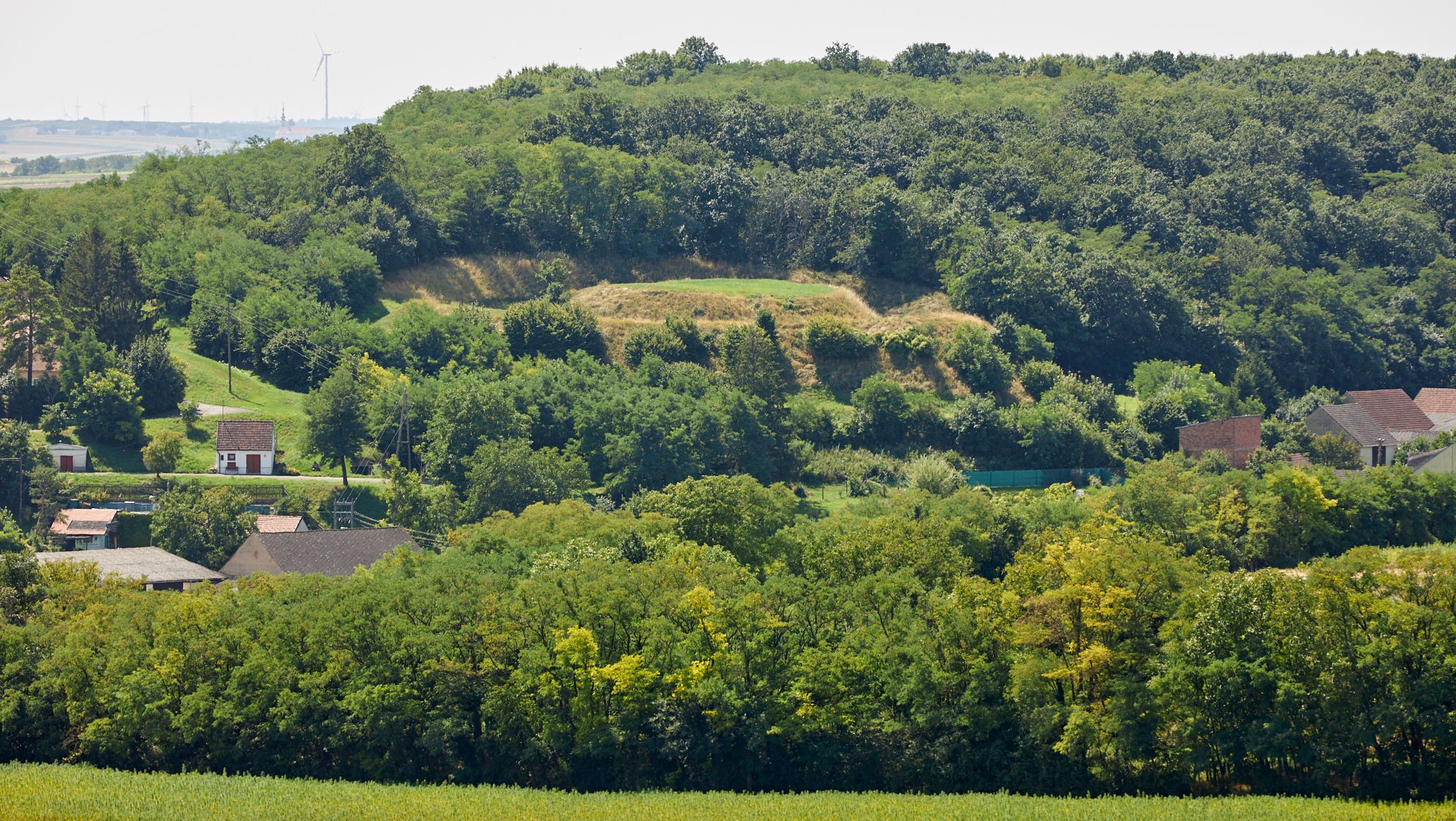 Landschaft mit bewaldetem Hügel und Häusern im Vordergrund.