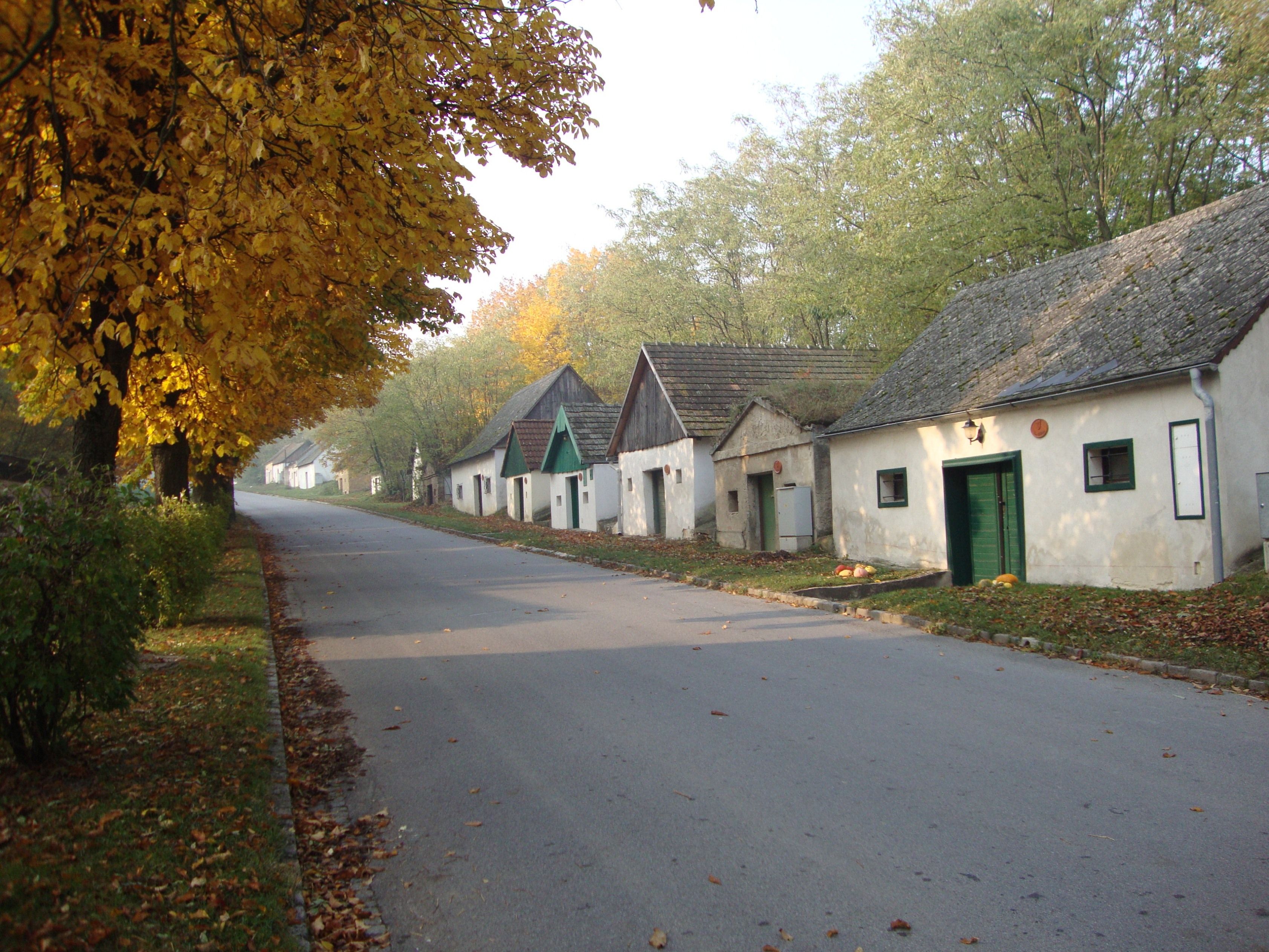 Straße mit Weinkellern und herbstlichen Bäumen.