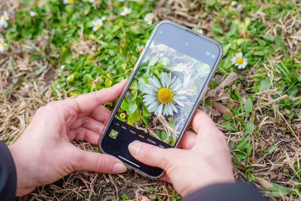 Handyfotografie
