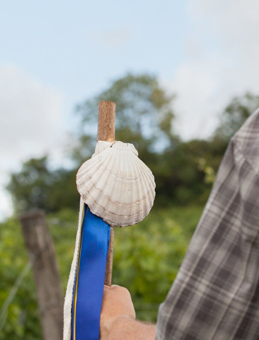Ein Wanderer genießt die frische Bergluft und die atemberaubende Aussicht, während er mit einem Stock in der Hand durch die malerische Landschaft schreitet. Die sanften Hügel und der strahlend blaue Himmel schaffen eine perfekte Kulisse für unvergessliche Erlebnisse in der Natur.