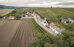 Presshäuser reihen sich zu einer Kellergasse aneinander. Eingebettet ist die Kellergasse in Weingärten, die sich im Hintergrund über die sanften Hügel erstrecken.