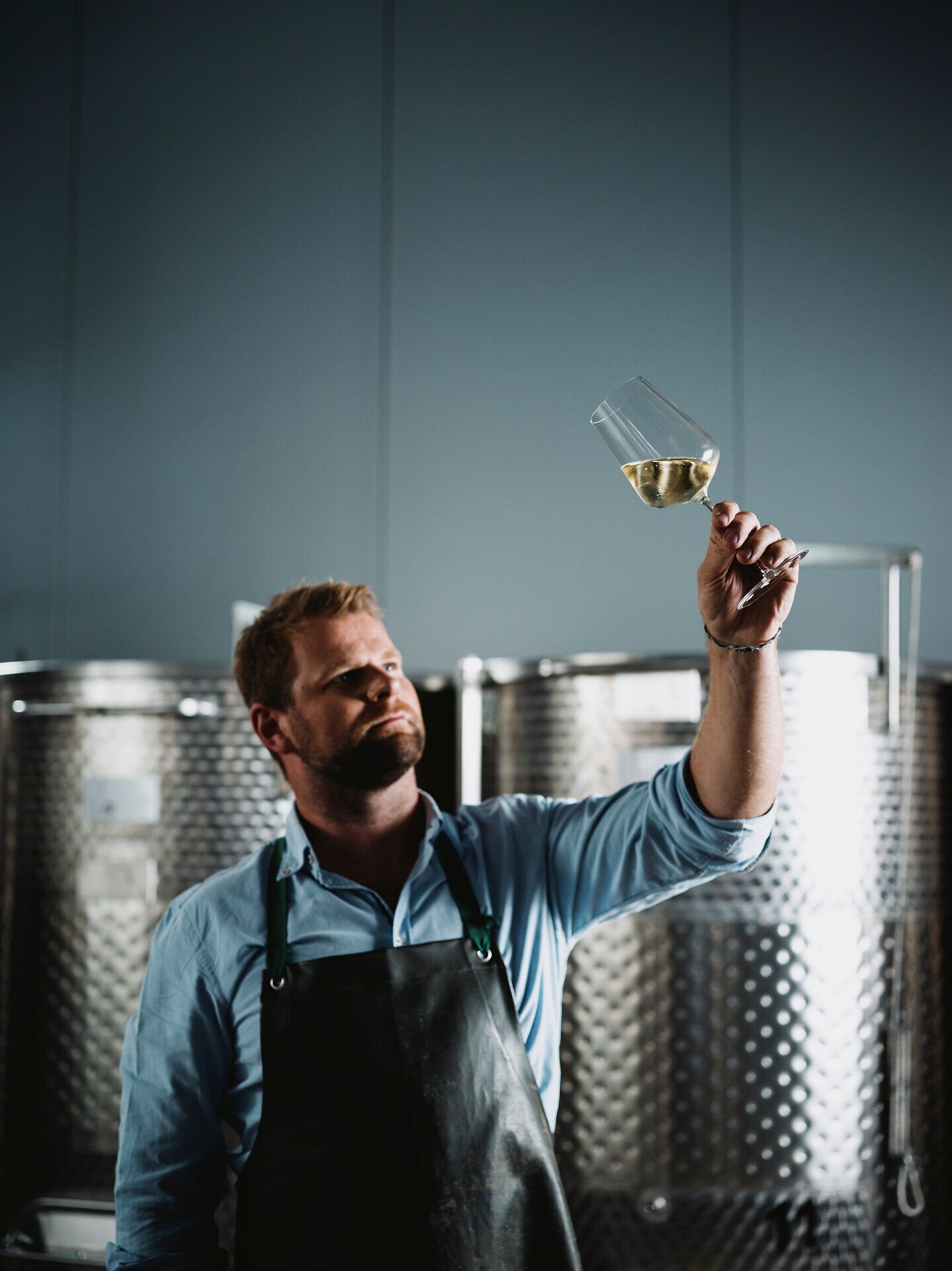 Inmitten der sanften Hügel des Weinviertels wird der goldene Wein in einem eleganten Glas geschwenkt, während die warmen Sonnenstrahlen die Aromen entfalten. Die Atmosphäre ist erfüllt von der Vorfreude auf den Weinherbst, wo die Trauben in voller Pracht erstrahlen und die Natur ihre Farbenpracht zeigt.