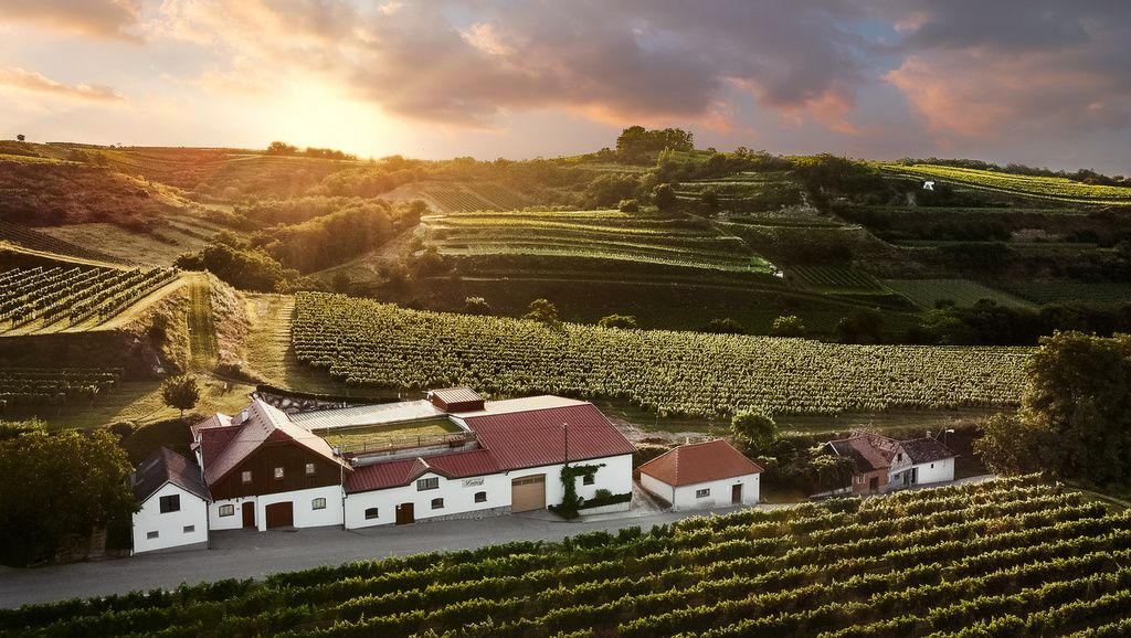 Winery in a hilly landscape at sunset.