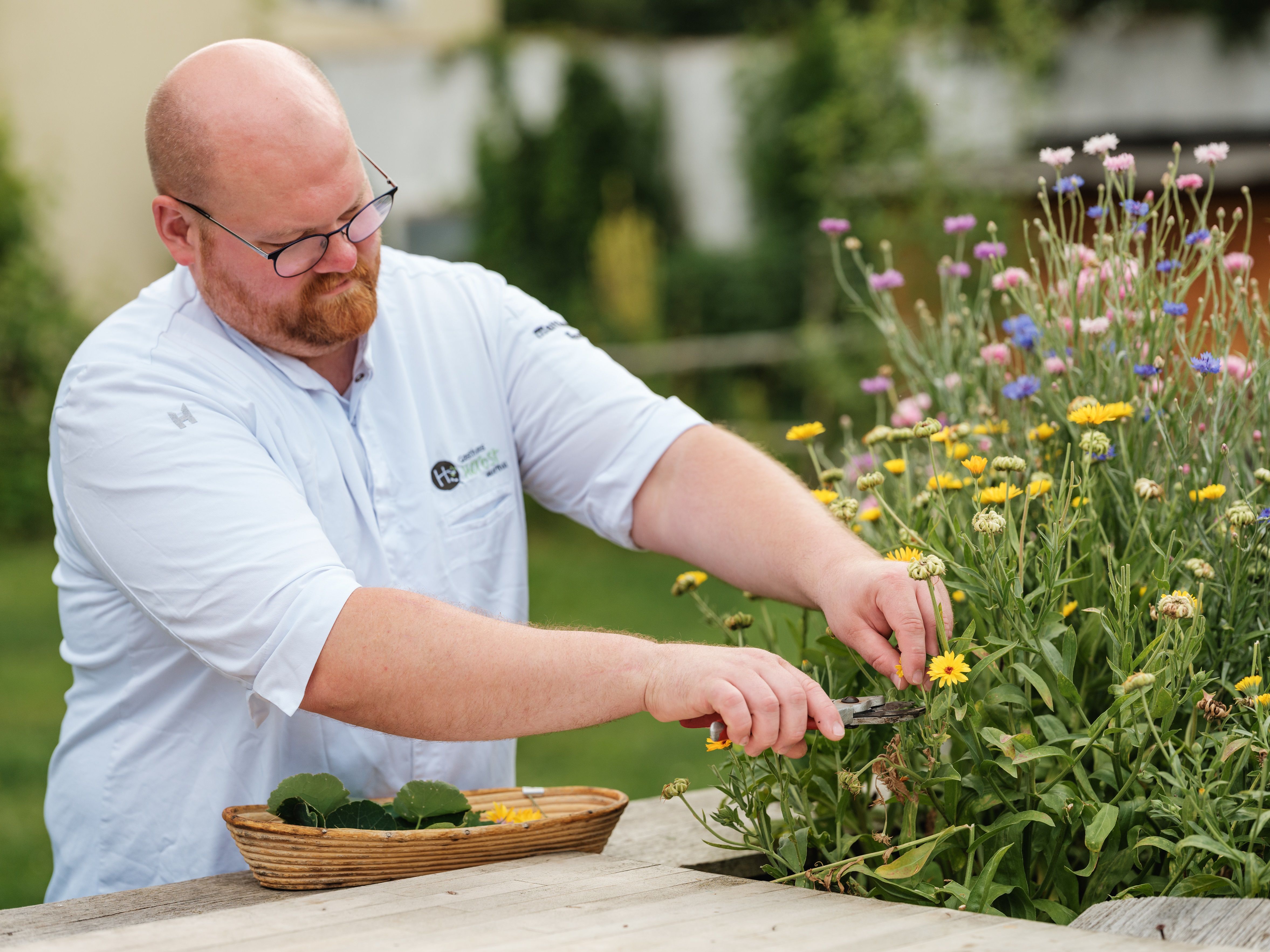 Ein Mann in einem weißen Hemd schneidet Blumen in einem Garten.