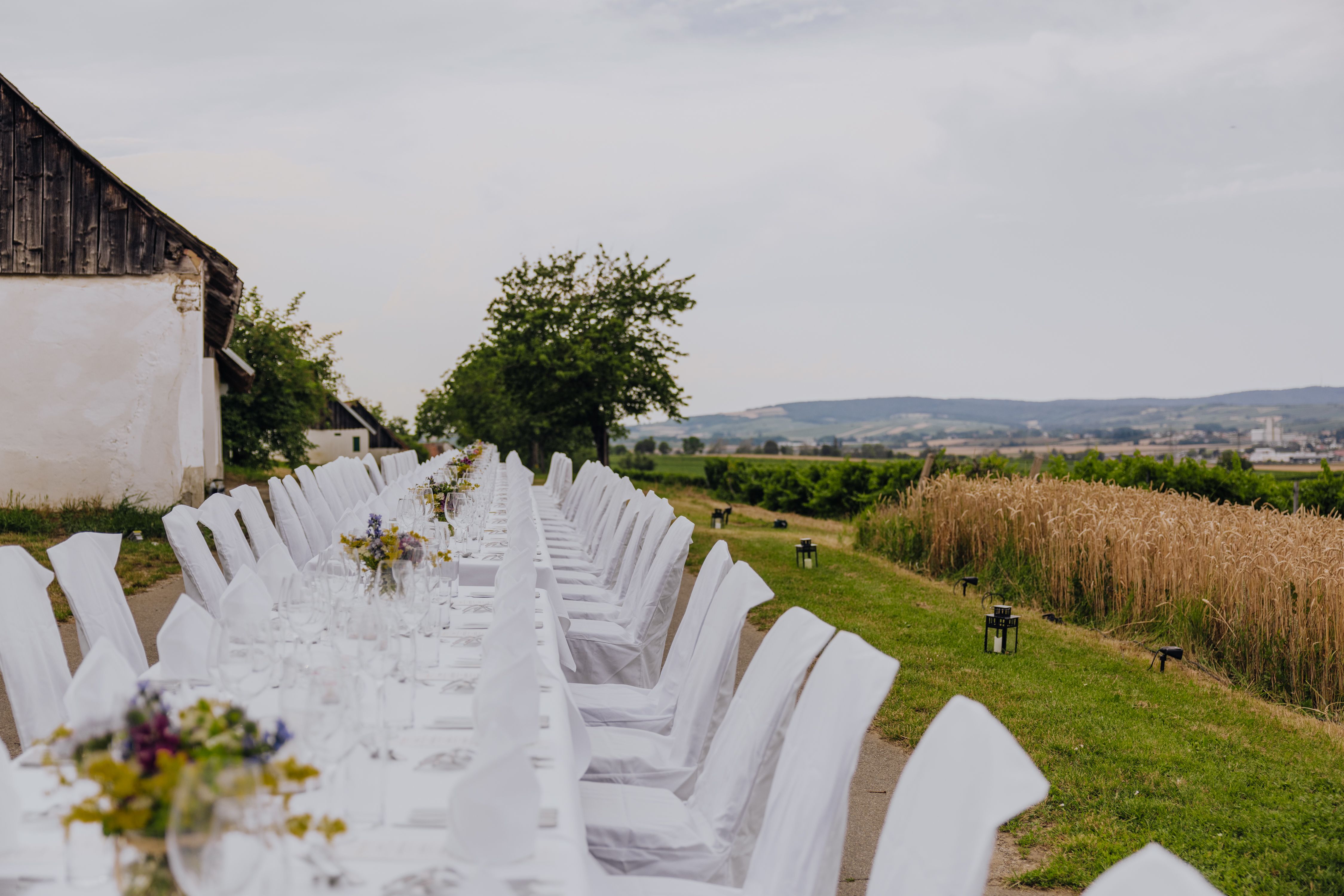 Langer, festlich gedeckter Tisch im Freien neben einem Feld.