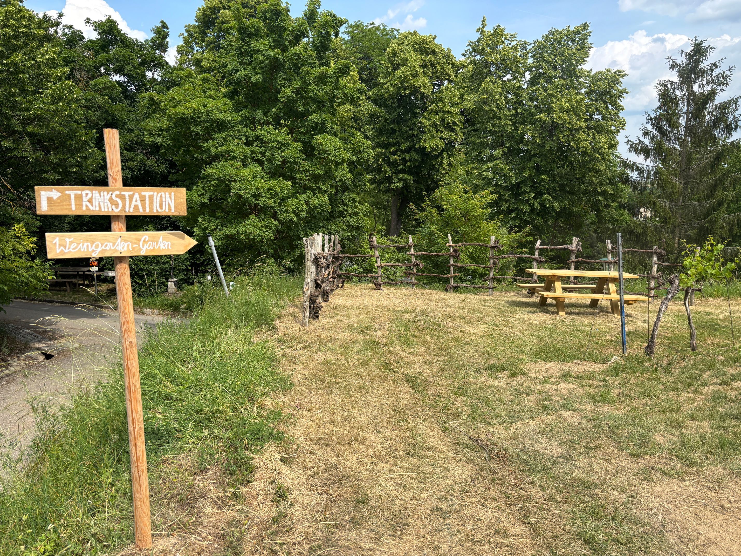 Wegweiser zum Trinkstation und Weingarten-Garten neben einer Holzbank in einer grünen Waldlichtung.