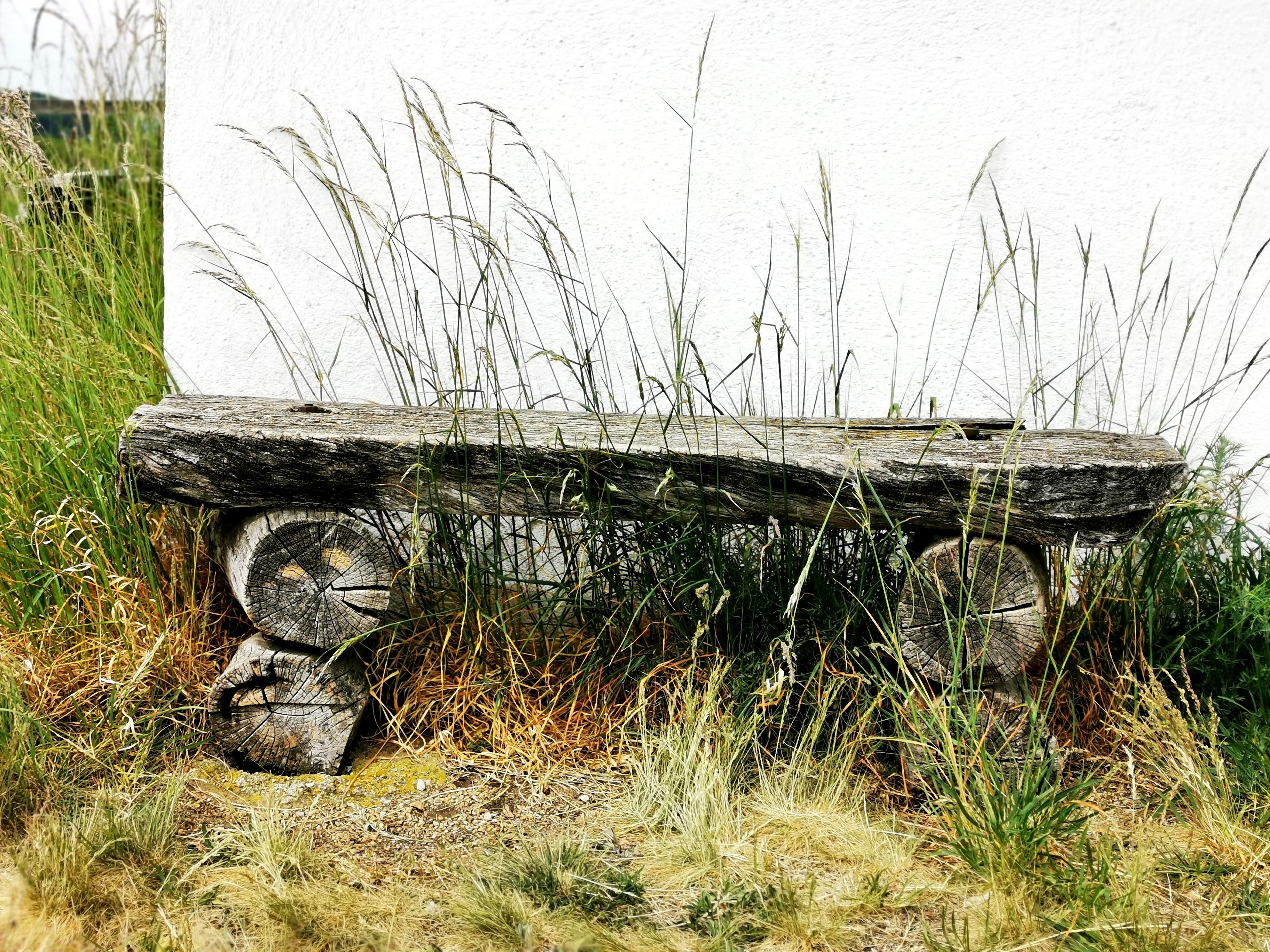 Alte Holzbank vor einer weißen Wand, umgeben von hohem Gras.