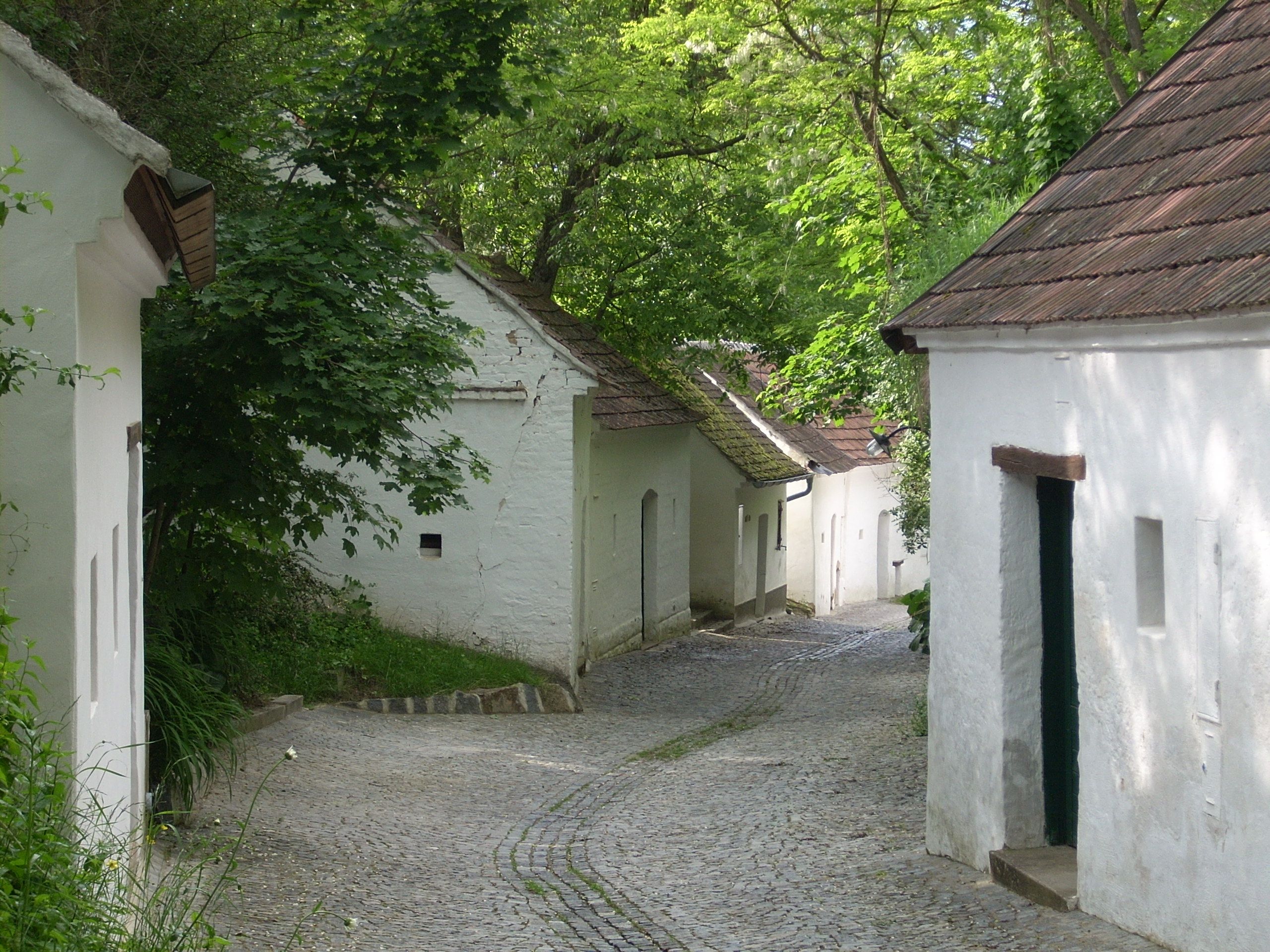 Eine malerische Kellergasse mit weißen Weinkellern und Kopfsteinpflaster, umgeben von grünen Bäumen.