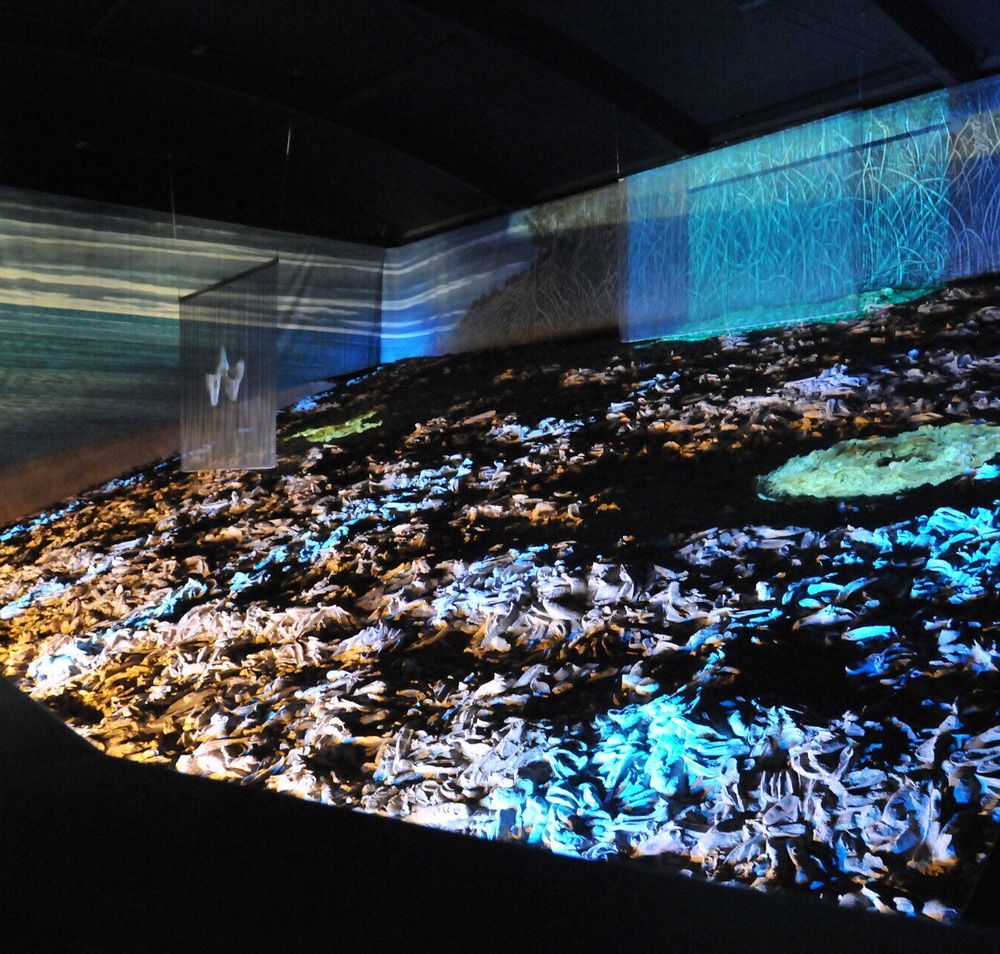 Ein faszinierendes Austernriff erstreckt sich unter einem sanften Lichtspiel, das die Fossilien in lebendigen Farben erstrahlen lässt. Die beeindruckenden Überreste der Meeresbewohner erzählen Geschichten aus längst vergangenen Zeiten und laden dazu ein, in die geheimnisvolle Welt der Urzeit einzutauchen.