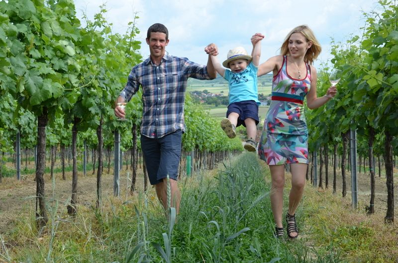 A family strolls happily through a vineyard, the parents holding their child's hands.