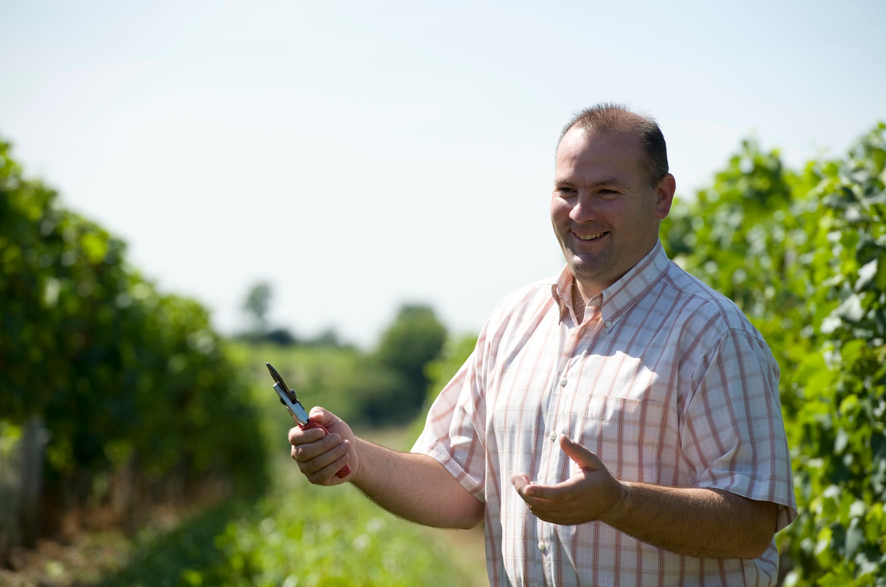 Mann im karierten Hemd steht lächelnd in einem Weingarten und hält eine Rebschere.