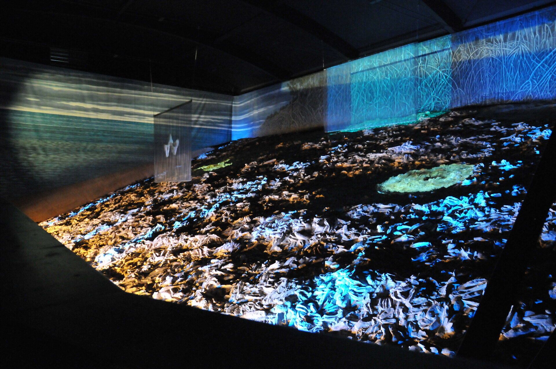 Ein faszinierendes Austernriff erstreckt sich unter einem sanften Lichtspiel, das die Fossilien in lebendigen Farben erstrahlen lässt. Die beeindruckenden Überreste der Meeresbewohner erzählen Geschichten aus längst vergangenen Zeiten und laden dazu ein, in die geheimnisvolle Welt der Urzeit einzutauchen.